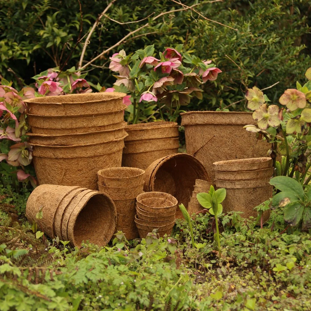 13cm Coir Plant Pots – 100% Biodegradable Pots & Peat-Free 1L | Ideal for Sowing & Growing - Image 9