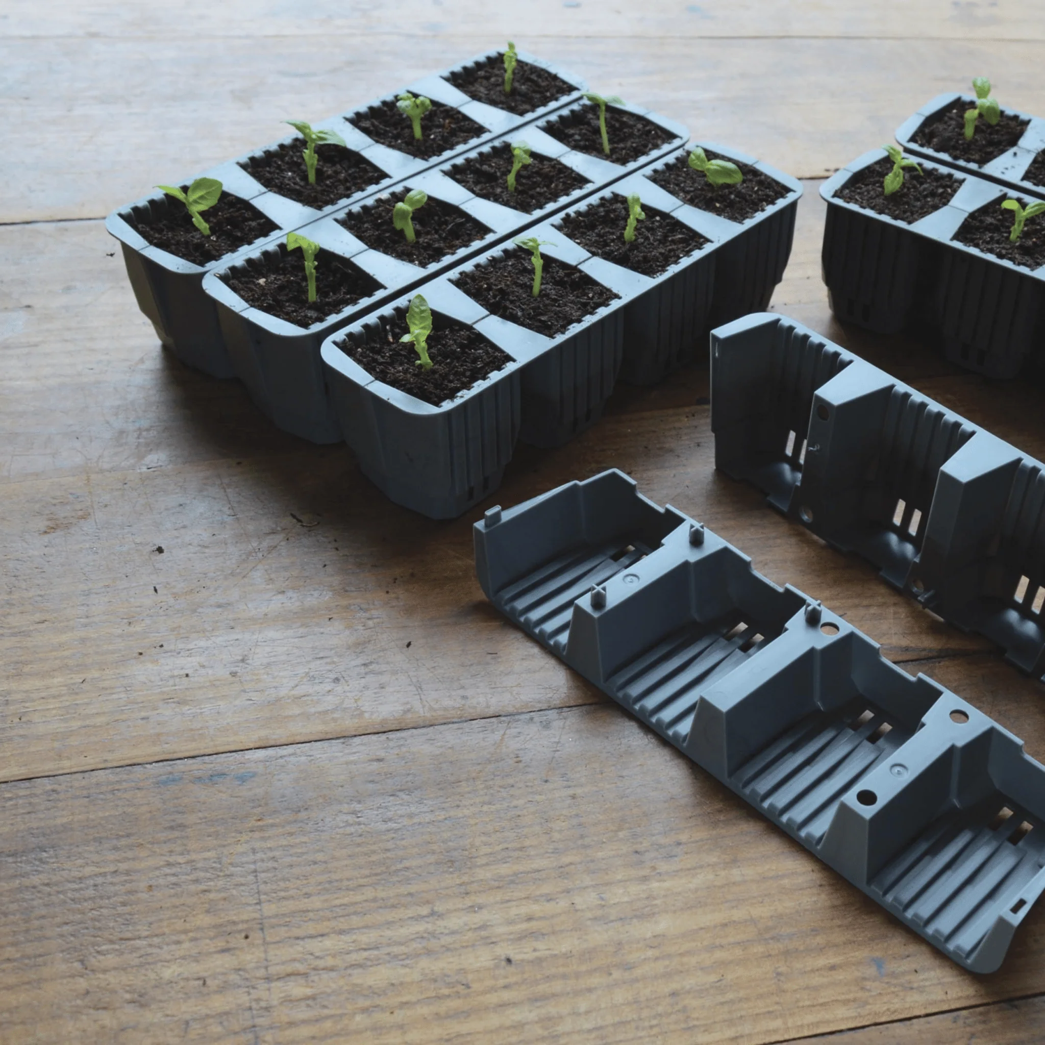 24 Cell Self Watering Fast Root Seed Success Kit Propagator - Image 14
