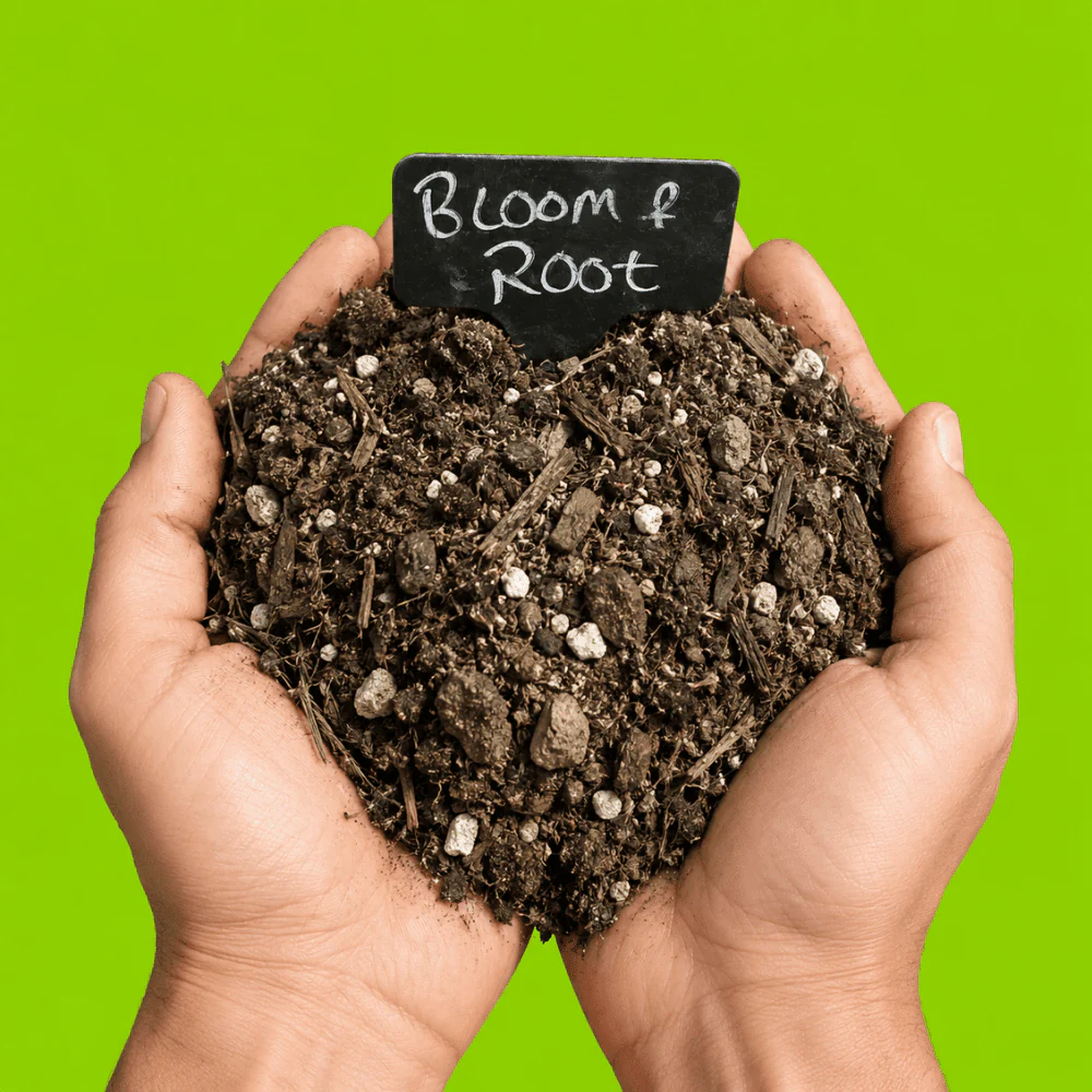 Bloom & Root® Rose Blend Topsoil - Image 8