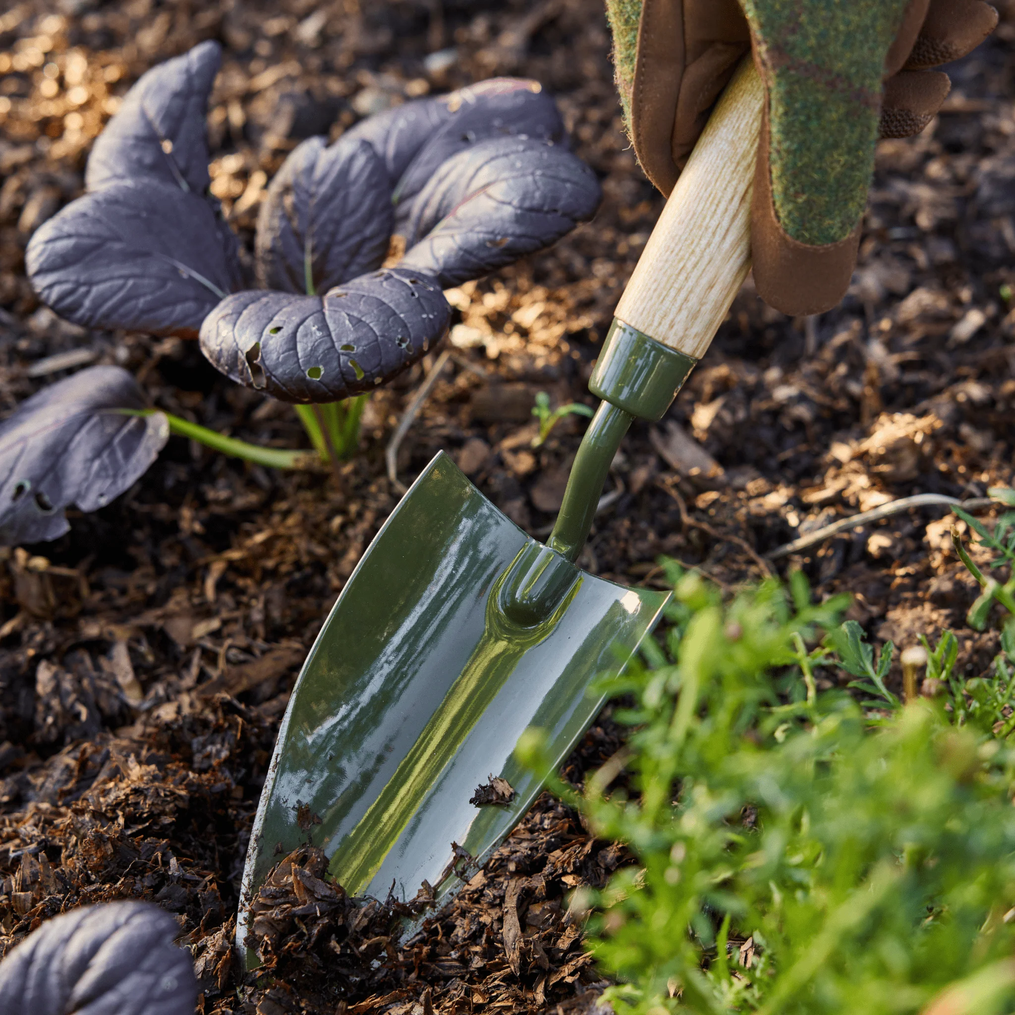 Burgon and Ball RHS BoronGreen Hand Trowel - Image 10