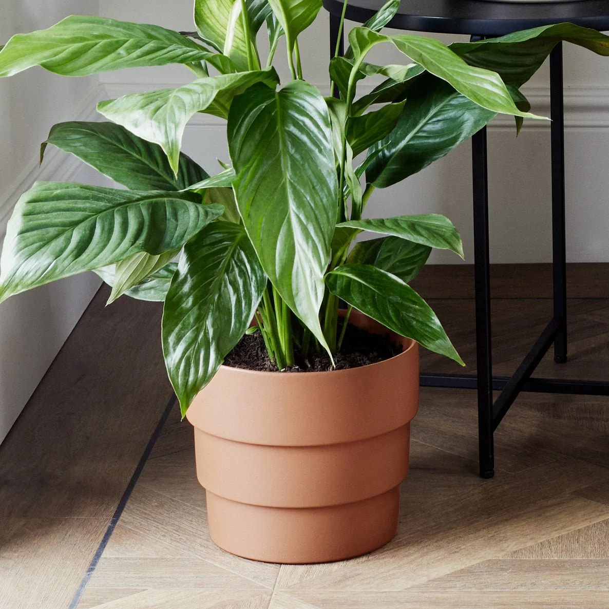 Boston Tiered Planter H18cm D21cm, Ceramic Plant Pot for Indoor and Outdoor Use - Image 3