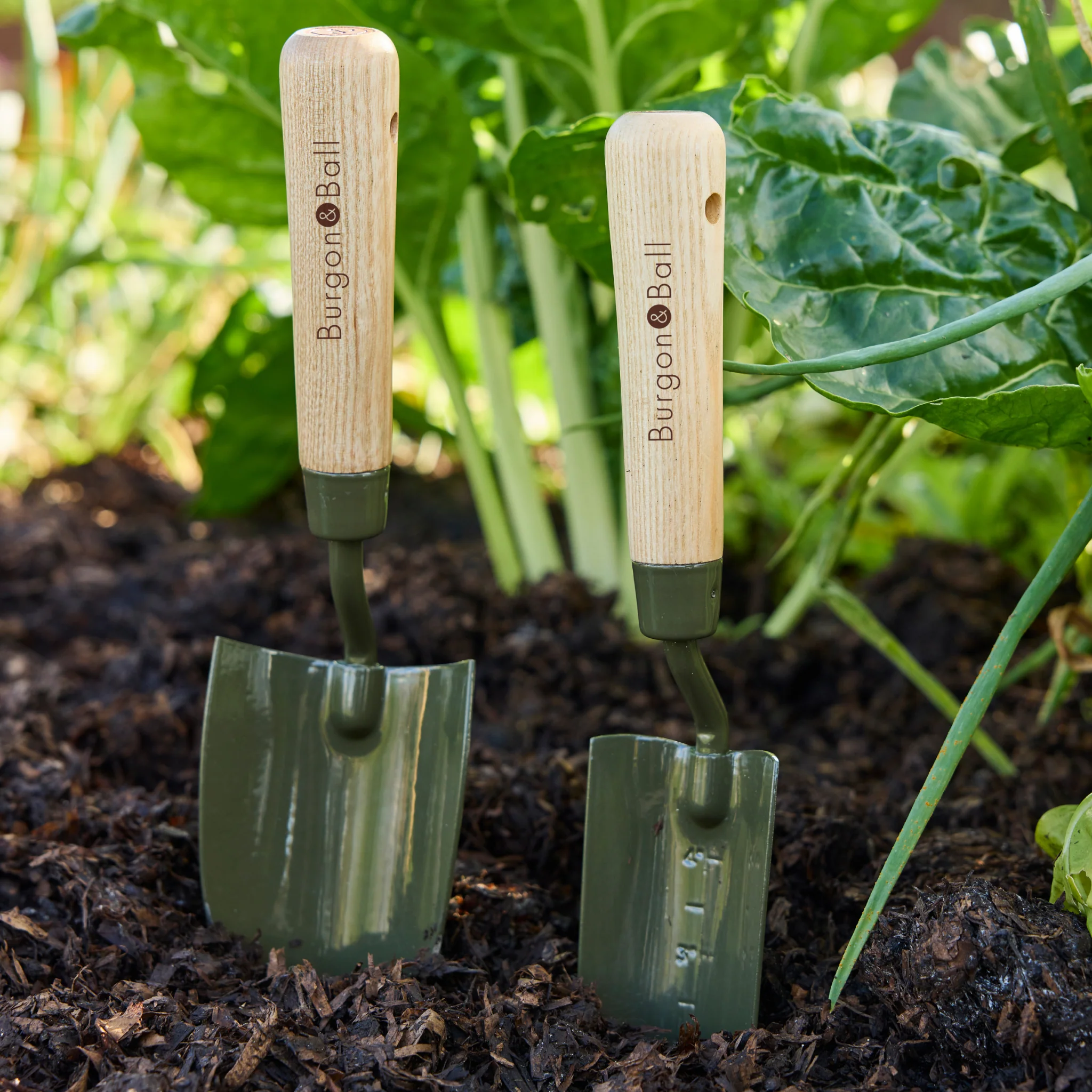 Burgon and Ball RHS BoronGreen Transplanter - Image 9