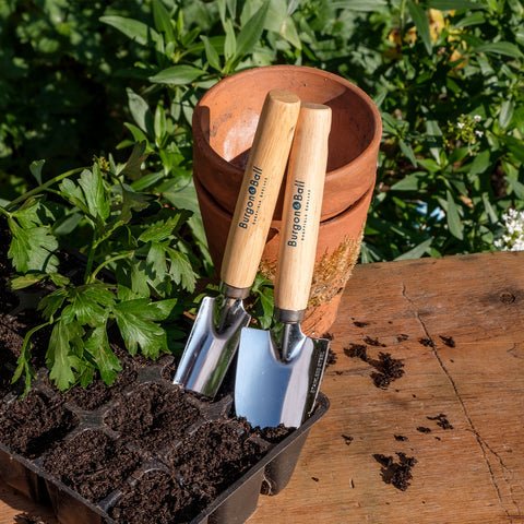 Cell Tray Trowels – Precision Tools for Seed Trays & Plugs | Burgon & Ball - Image 5