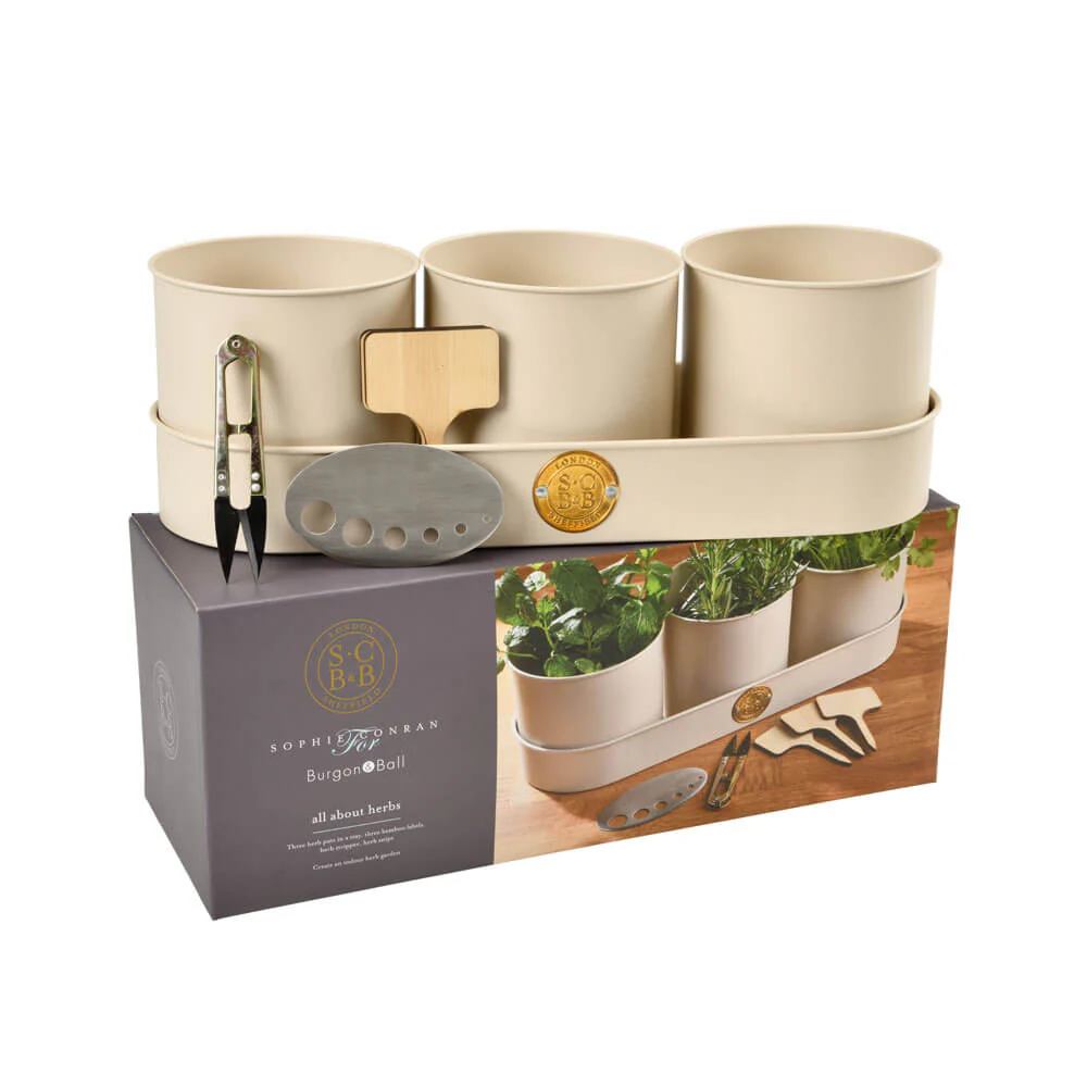 All About Herbs Gift Set – Sophie Conran Collection | Burgon & Ball