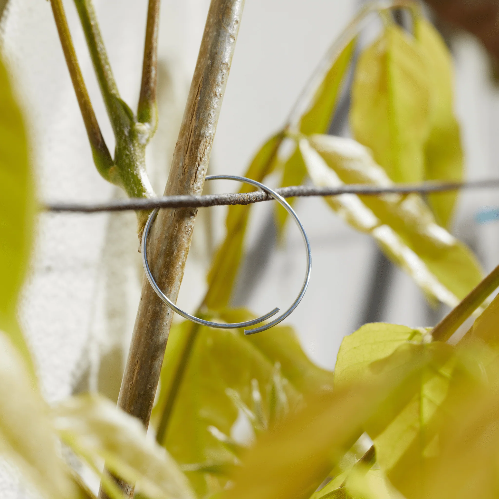 Galvanised Plant Rings 25cm 100 Pack, Strong Metal Plant Supports for Trees and Stems - Image 2