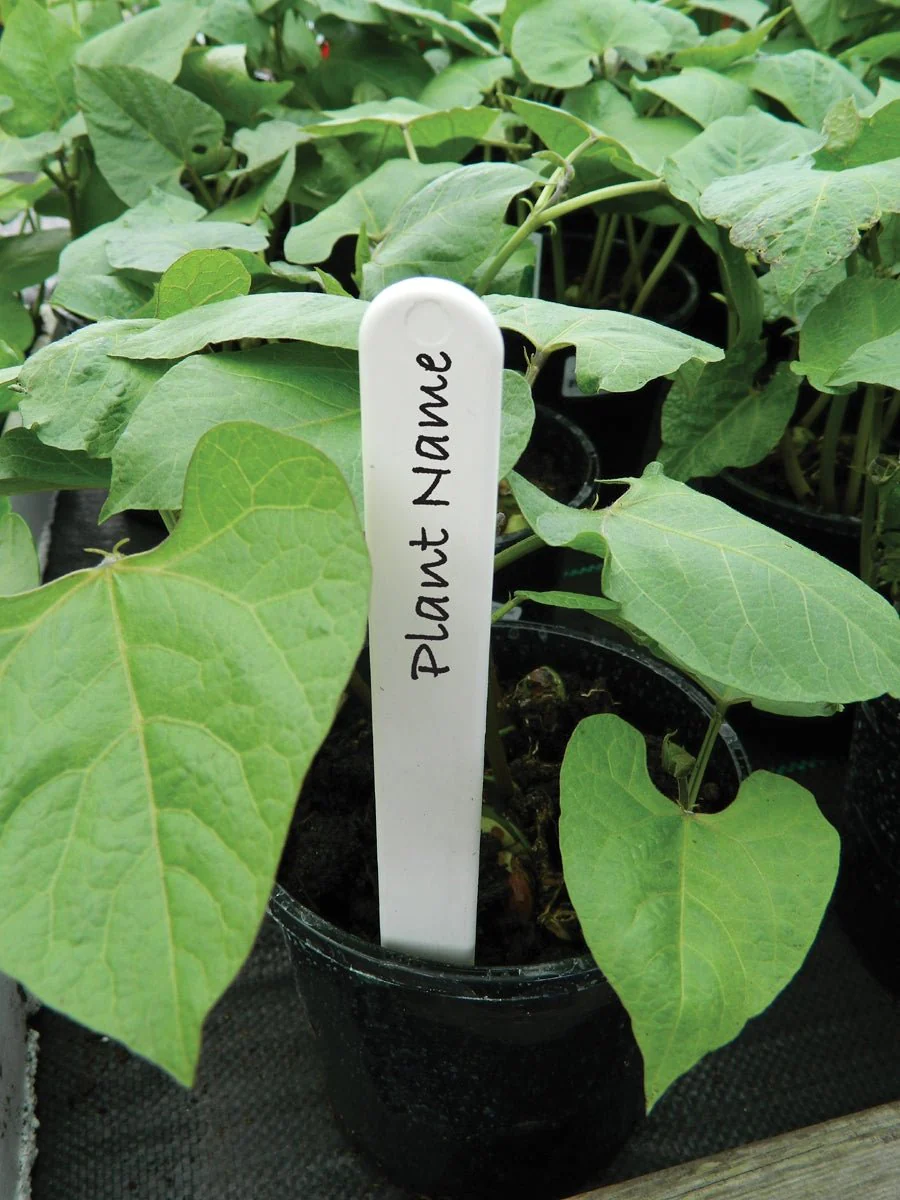 13cm Plant Labels – Reusable Plastic, Wood and Slate Markers for Pots & Beds | Garland - Image 3