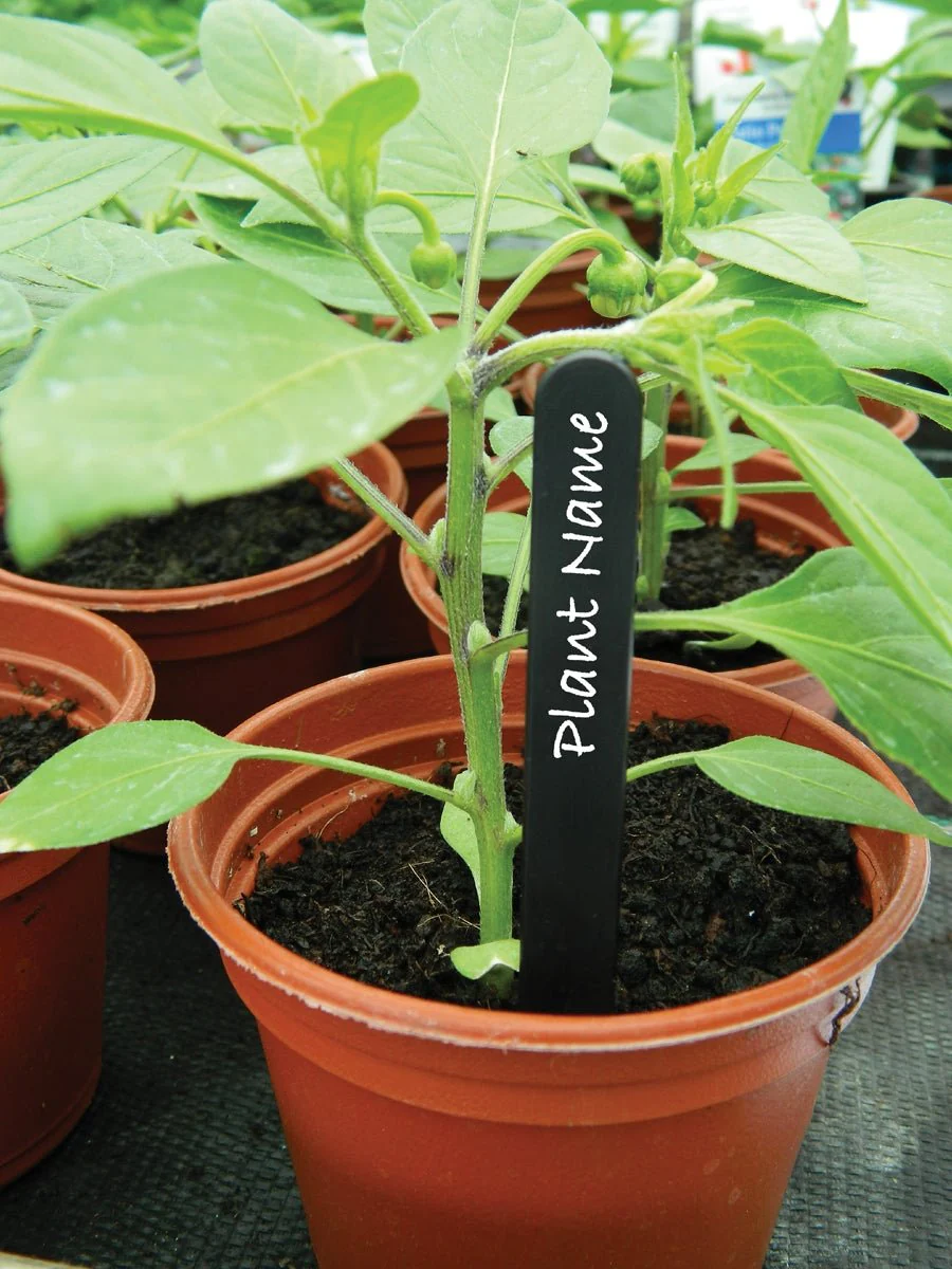 13cm Plant Labels – Reusable Plastic, Wood and Slate Markers for Pots & Beds | Garland - Image 4
