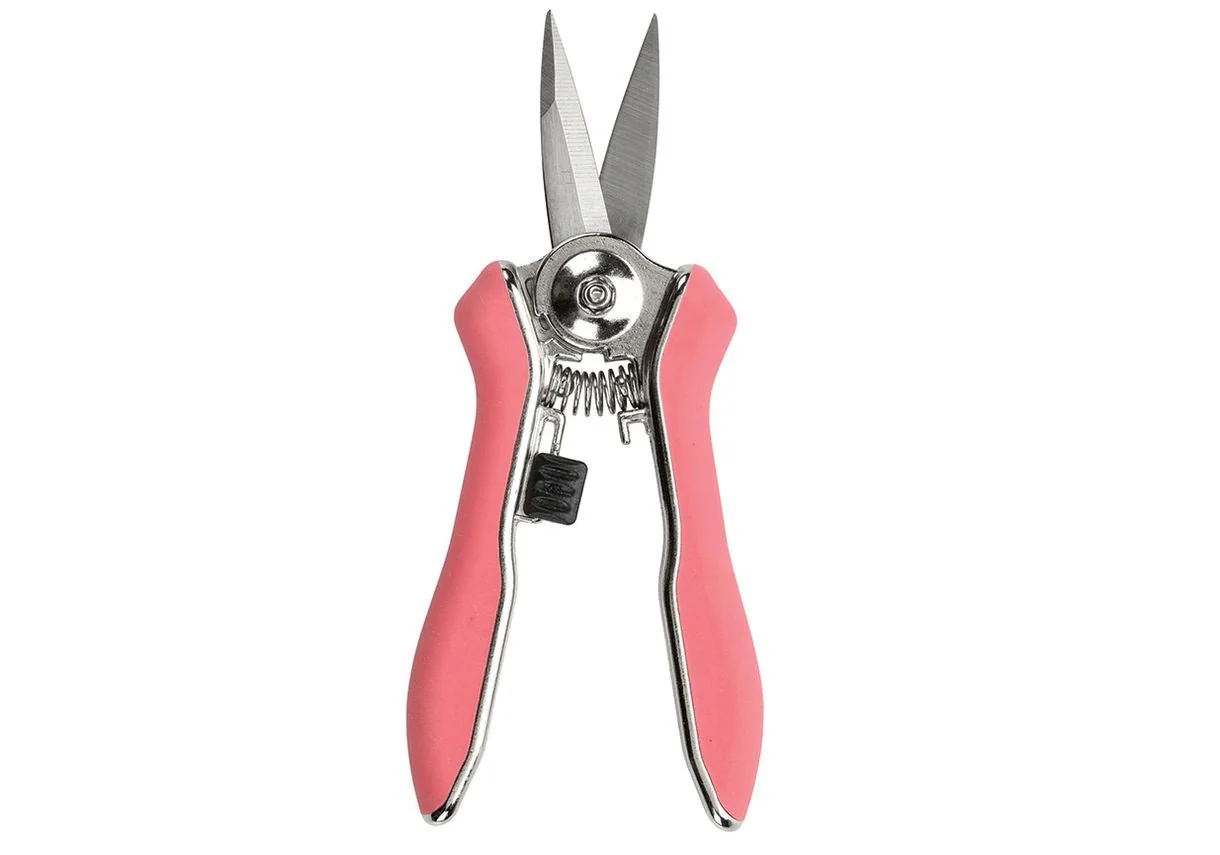 Orchid Snips – Fine Precision Scissors for Delicate Plants | Burgon & Ball