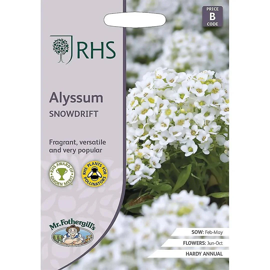 RHS Alyssum Snowdrift Seeds 1500 Seeds, Fragrant Hardy Annual White Flower Seeds for Borders and Containers