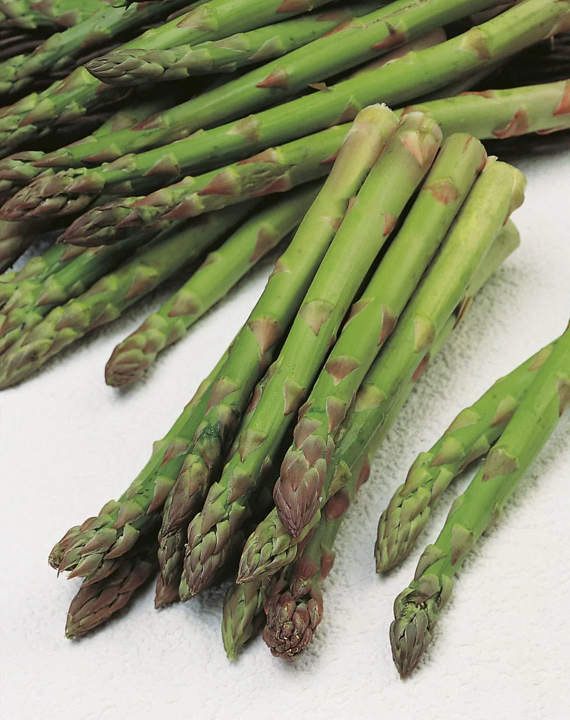 Mr Fothergills RHS Asparagus Connover's Colossal Seeds AGM Heritage Perennial - Image 3