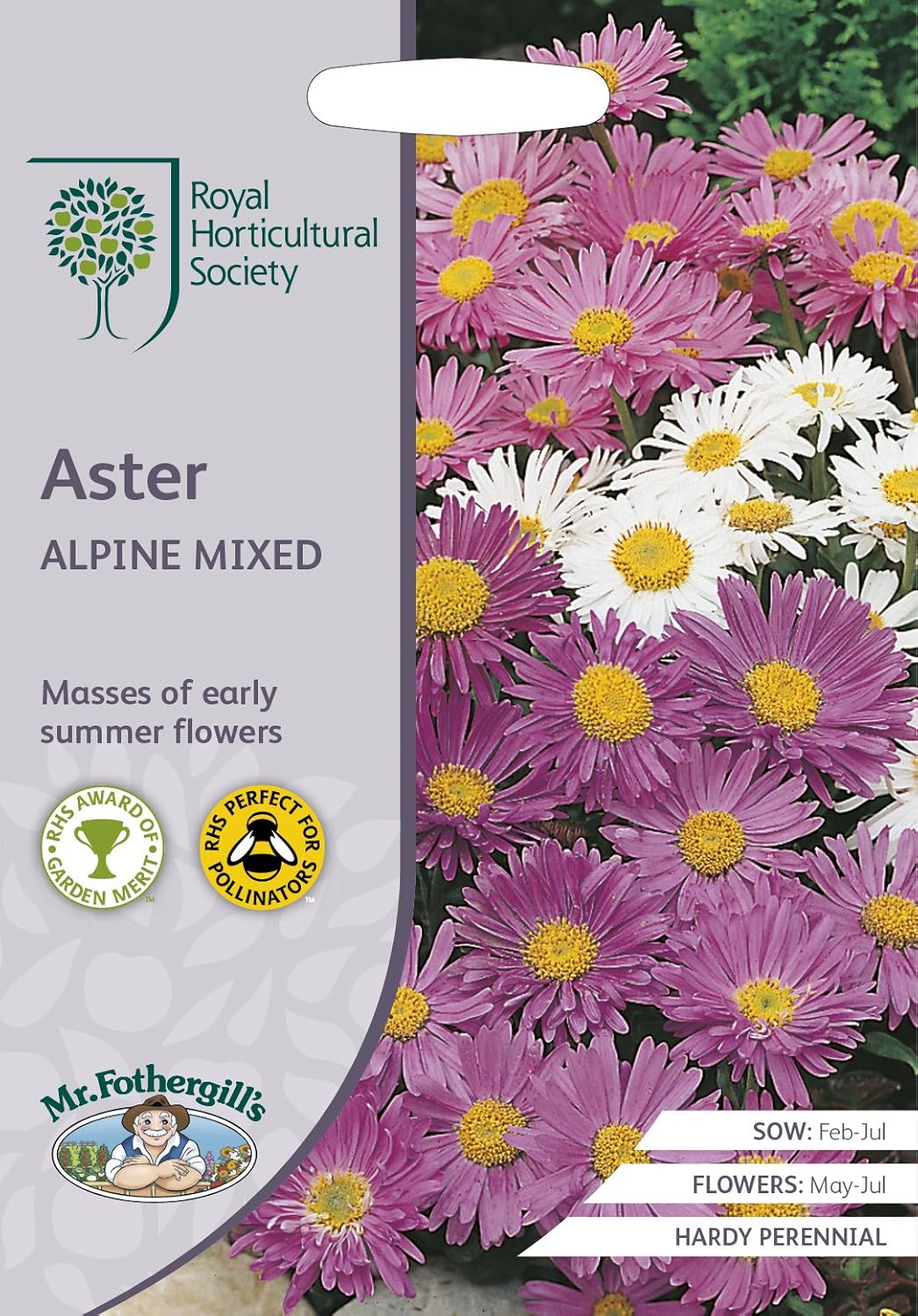 RHS Aster Alpine Mixed Seeds 250 Seeds, Hardy Perennial Pollinator Friendly Early Summer Flowers