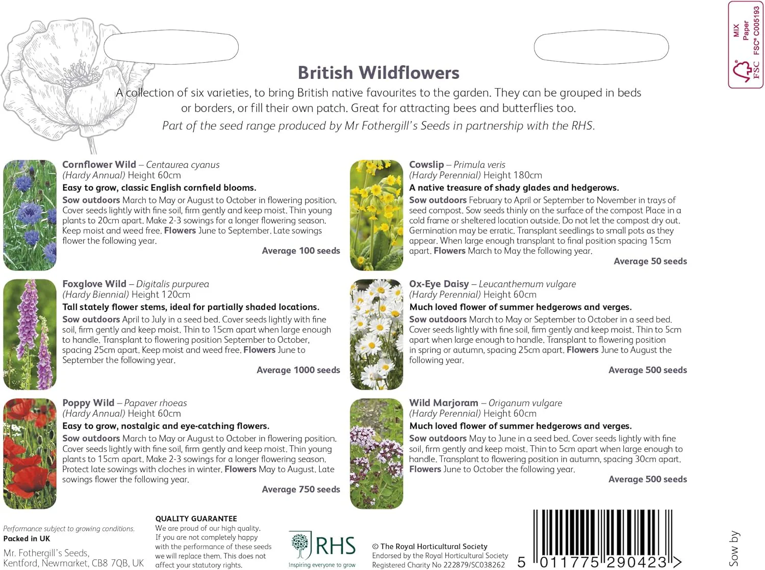 RHS British Wildflowers Seed Collection 6 Native Varieties - Image 3