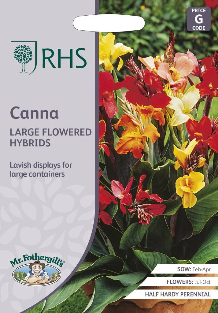 RHS Canna indica Large Flowered Hybrids Seeds 25 Seeds, Half Hardy Perennial Tropical Container Plant