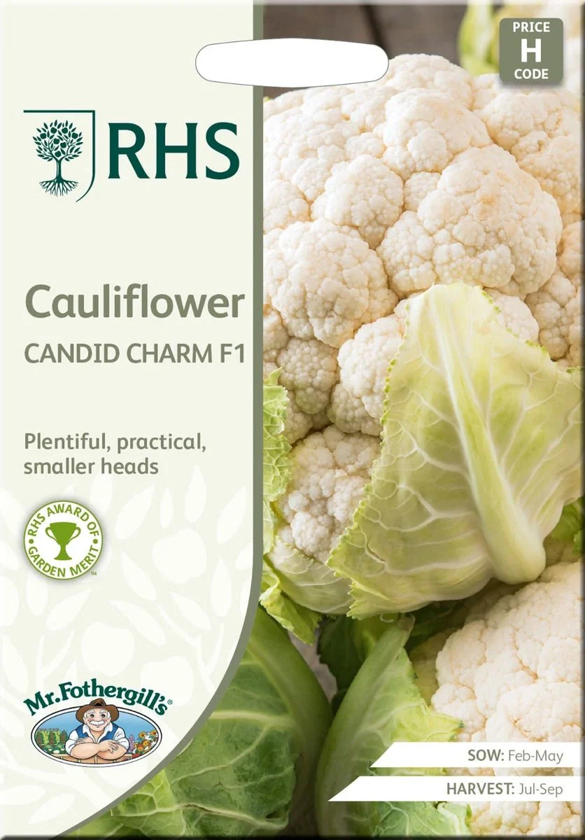 RHS Cauliflower Candid Charm F1 Seeds 30 Seeds, Award Winning Vegetable Seeds for Compact Growing