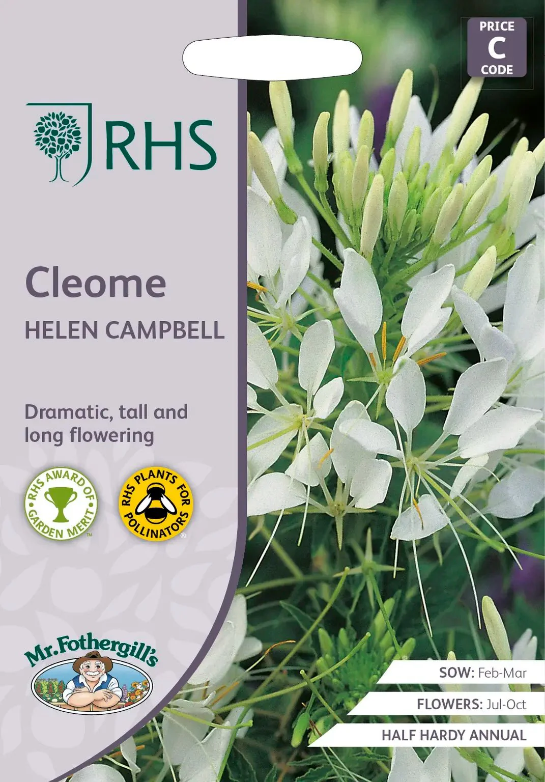 RHS Cleome Helen Campbell Seeds 250 Seeds, Half Hardy Annual White Spider Flower