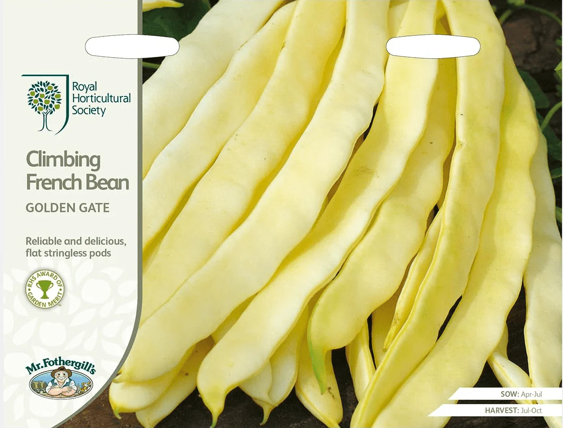 RHS Climbing French Bean Golden Gate Seeds