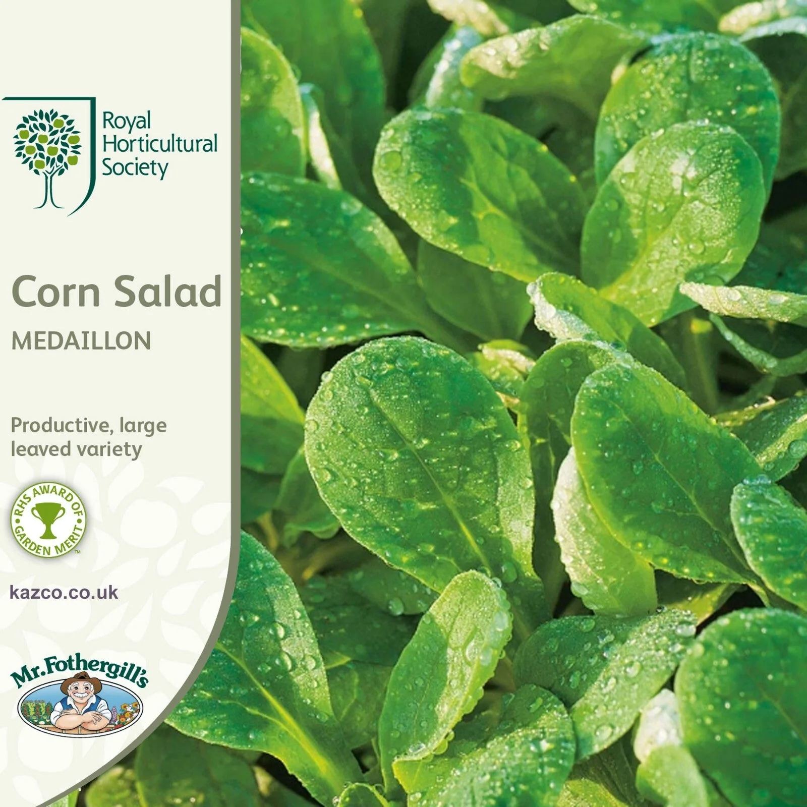 RHS Corn Salad Medaillon Seeds,500 Seeds, Award Winning Leaf Vegetable Seeds for Winter Harvests
