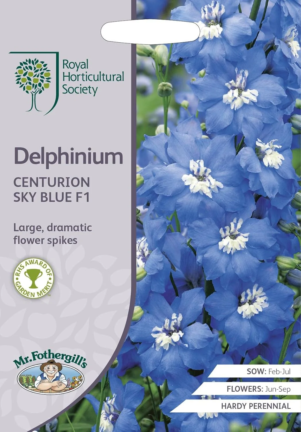 RHS Delphinium Centurion Sky Blue F1 Seeds 20 Seeds, Hardy Perennial Blue Flower Spikes