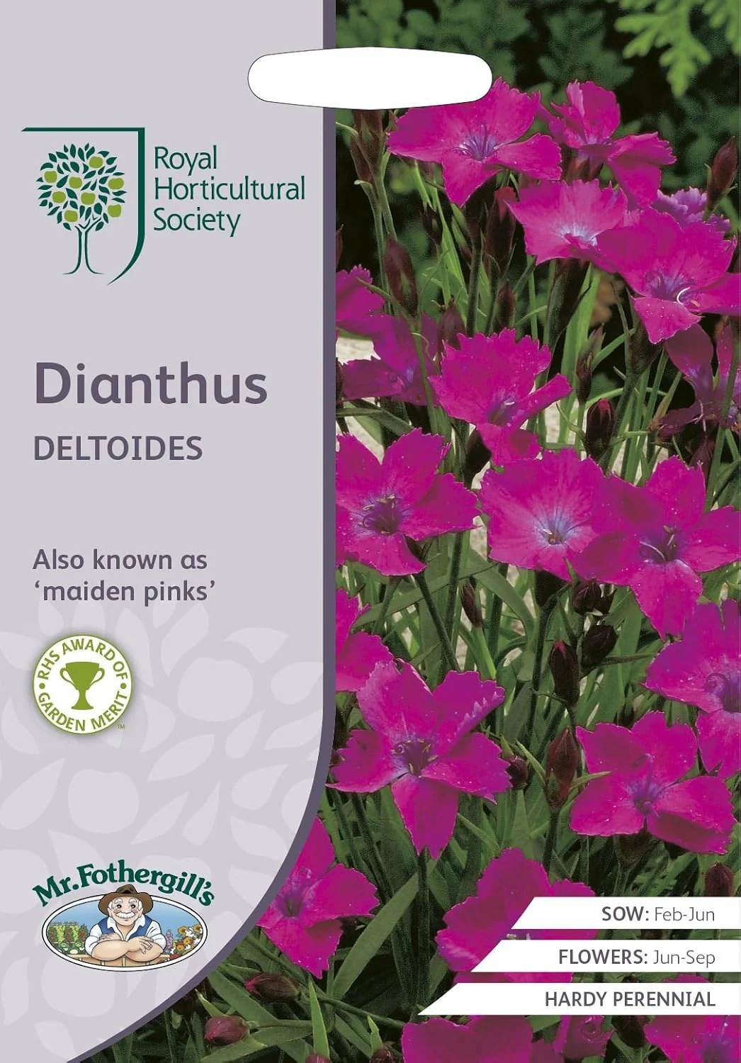 RHS Dianthus deltoides Seeds 200 Seeds, Hardy Perennial Maiden Pinks Ground Cover