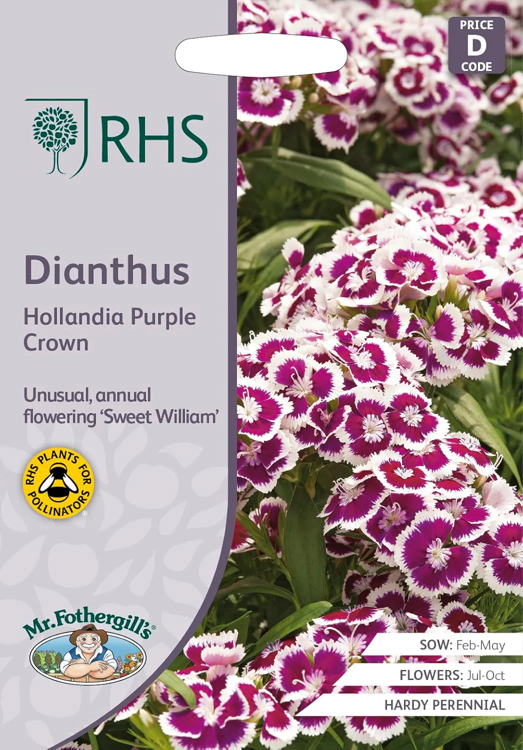 RHS Dianthus Hollandia Purple Crown Seeds 100 Seeds, Sweet William Hardy Perennial Flower