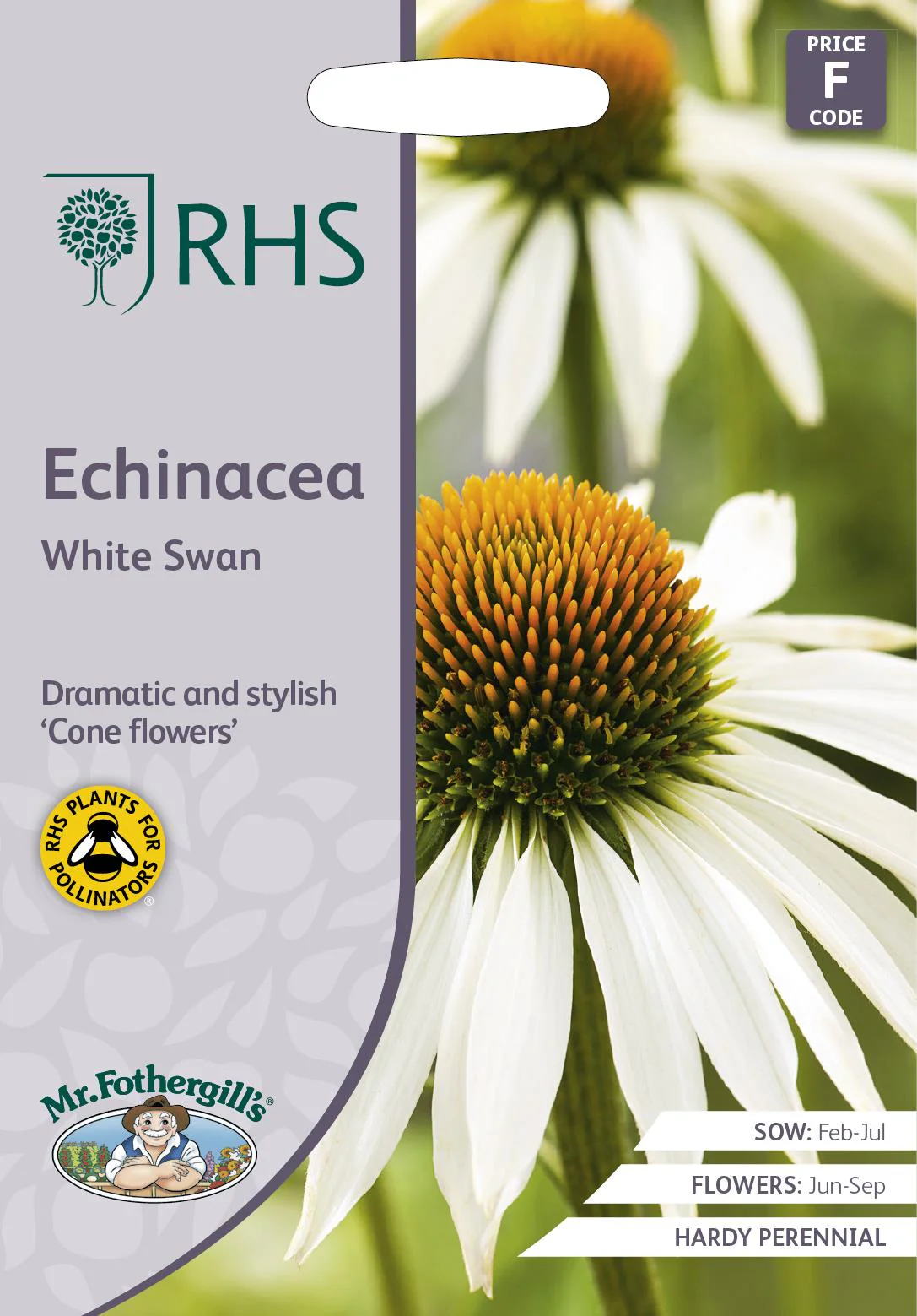 RHS Echinacea White Swan Seeds 50 Seeds, Hardy Perennial White Coneflower