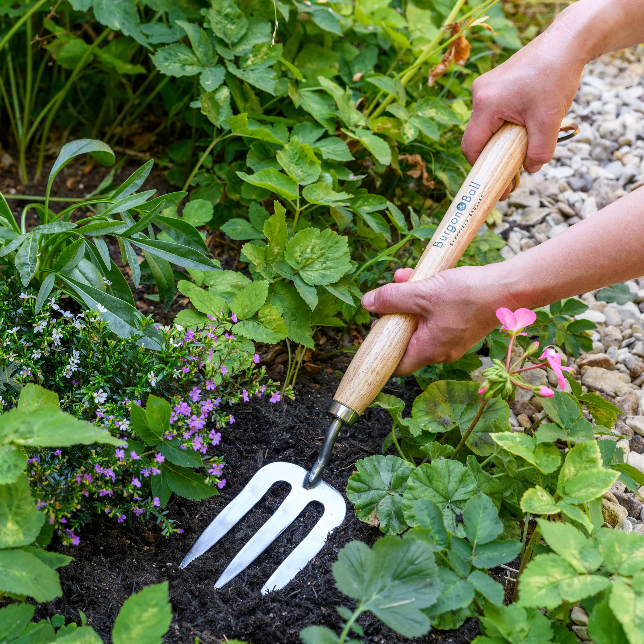 RHS Endorsed Stainless Steel Mid Handled Fork by Burgon & Ball - Image 9