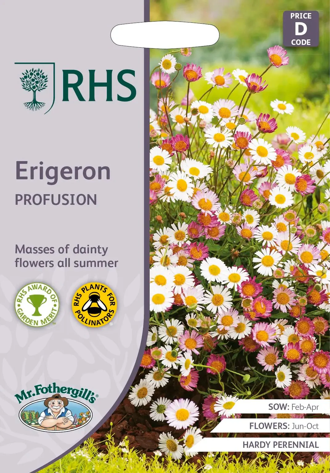 RHS Erigeron Profusion Seeds 250 Seeds, Hardy Perennial Fleabane Daisy