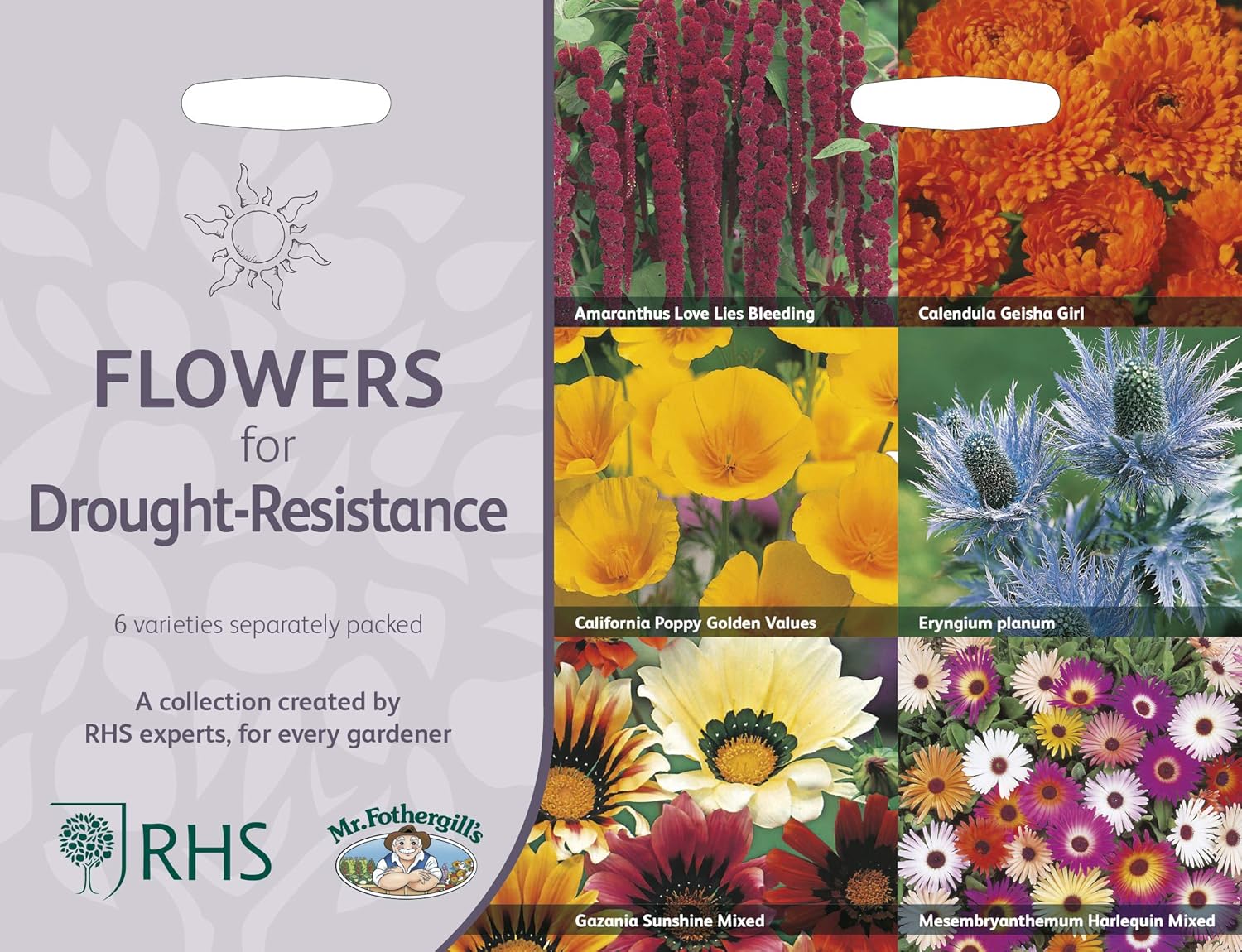 RHS Flowers for Drought Resistance Seed Collection 6 Heat Tolerant Varieties