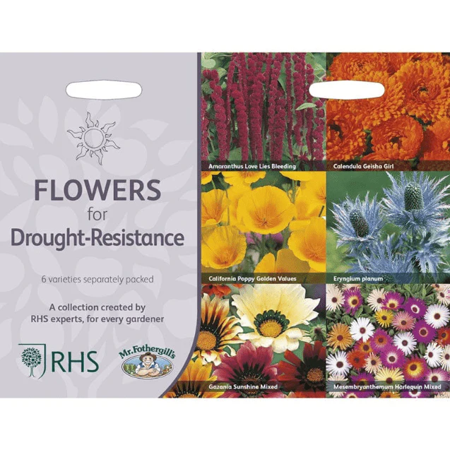 RHS Flowers for Drought Resistance Seed Collection 6 Heat Tolerant Varieties - Image 3
