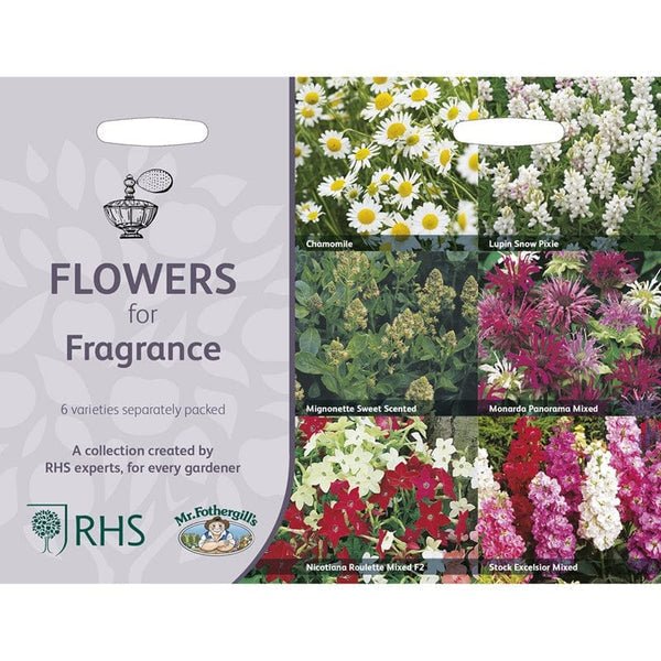 RHS Flowers for Fragrance Seed Collection 6 Scented Varieties - Image 3