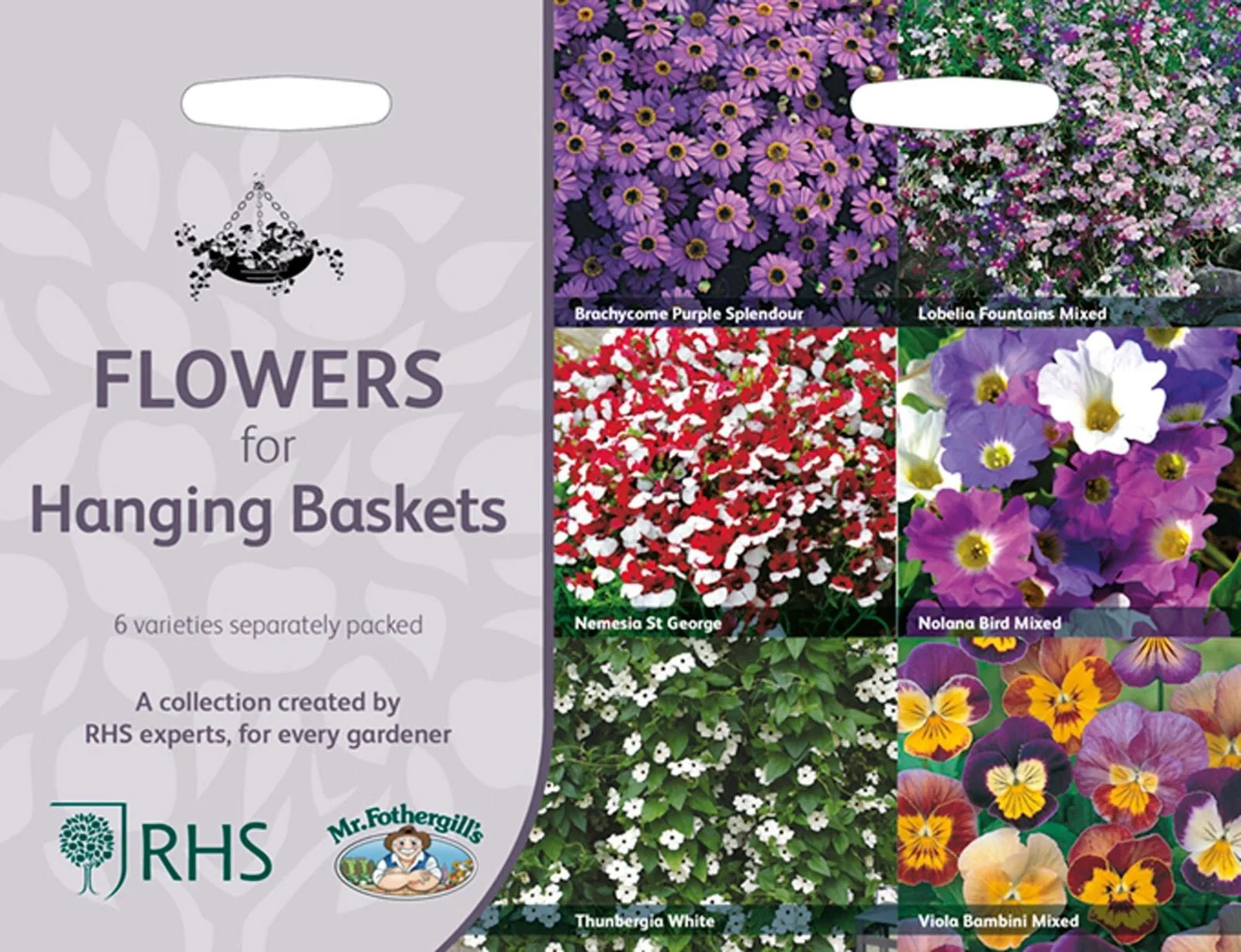 RHS Flowers for Hanging Baskets Seed Collection 6 Trailing Varieties