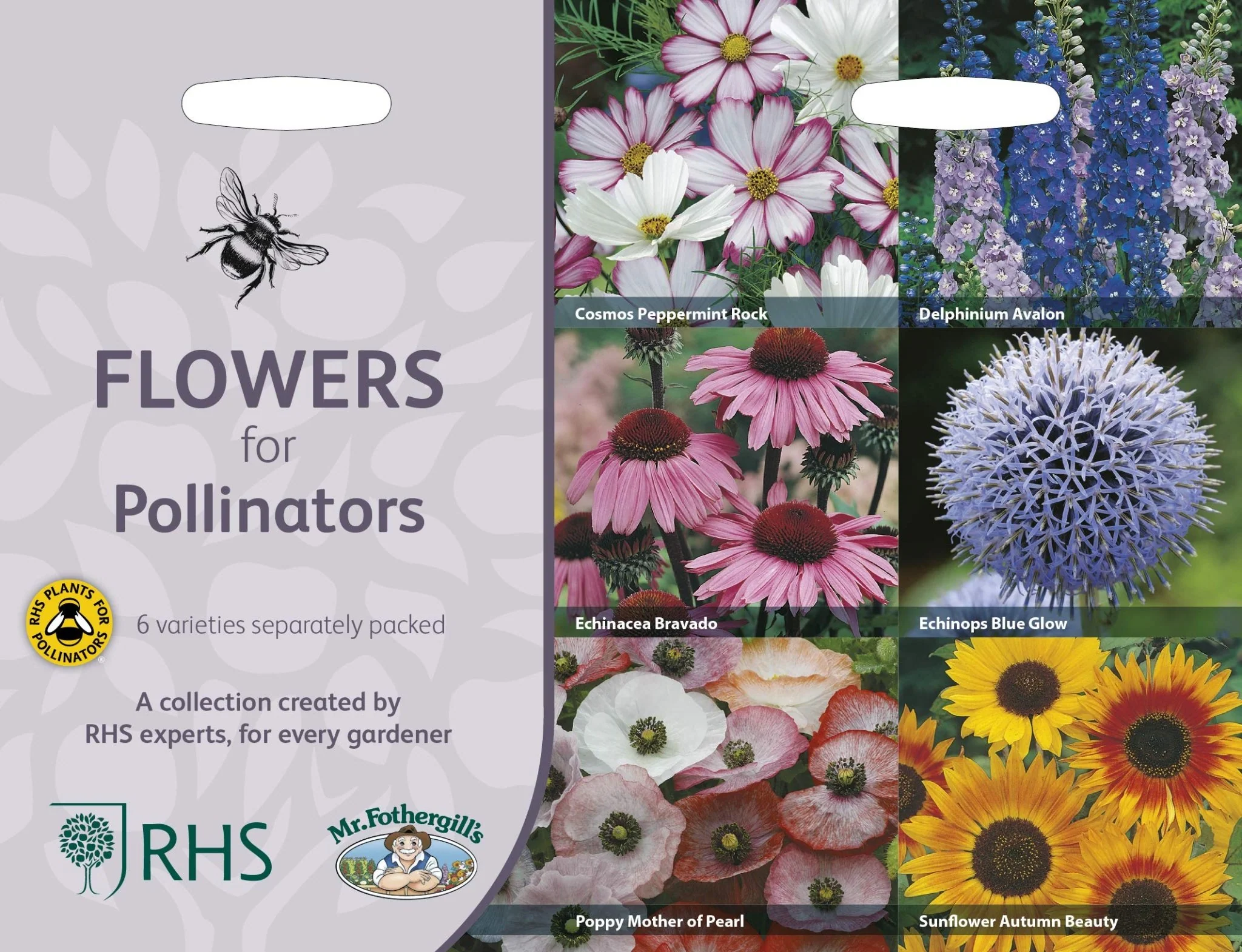 RHS Flowers for Pollinators Seed Collection 6 Bee Friendly Varieties