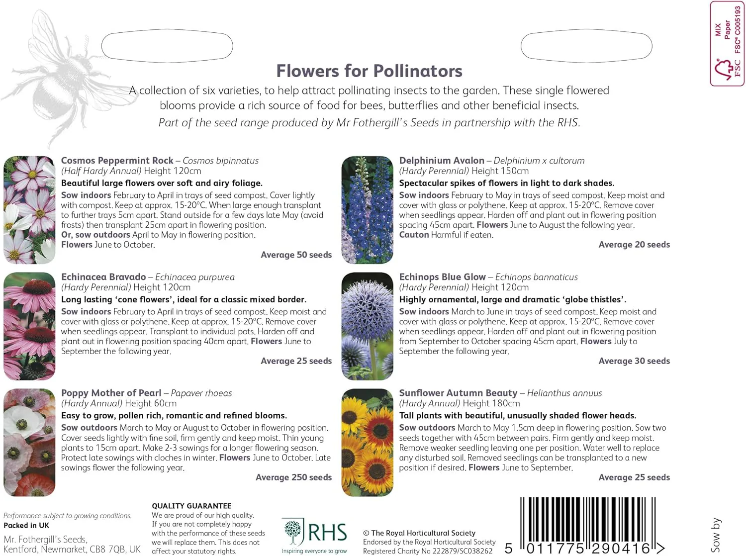 RHS Flowers for Pollinators Seed Collection 6 Bee Friendly Varieties - Image 2