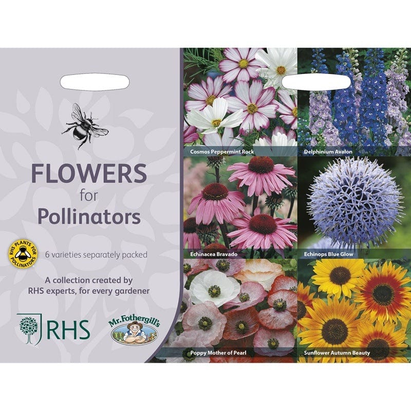 RHS Flowers for Pollinators Seed Collection 6 Bee Friendly Varieties - Image 3