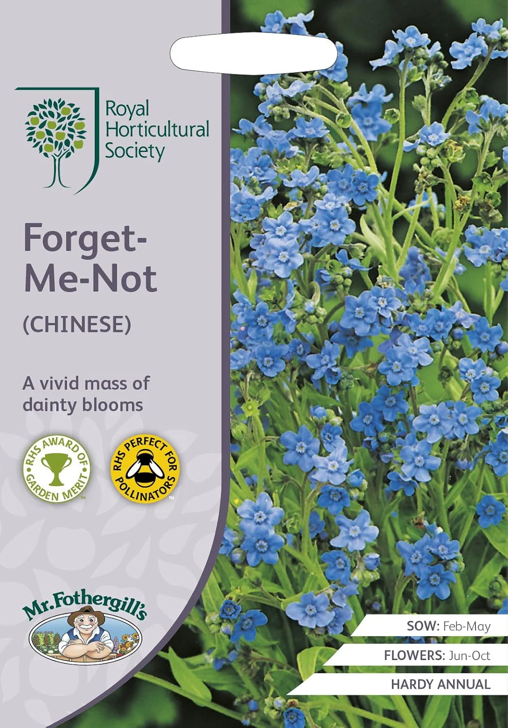 RHS Forget Me Not Chinese Seeds 300 Seeds, Hardy Annual Blue Flower