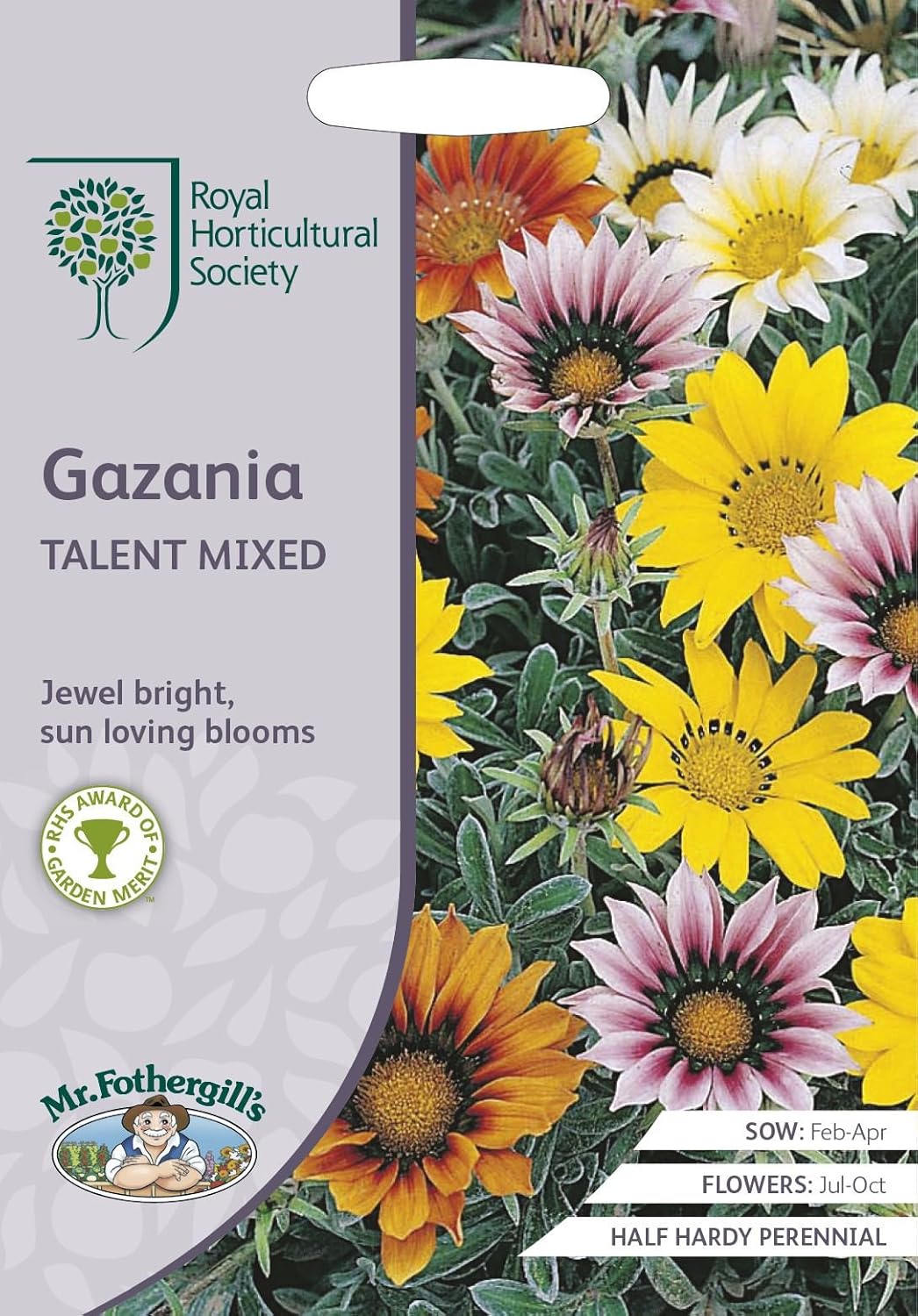 RHS Gazania Talent Mixed Seeds 25 Seeds, Half Hardy Perennial Sun Loving Flowers