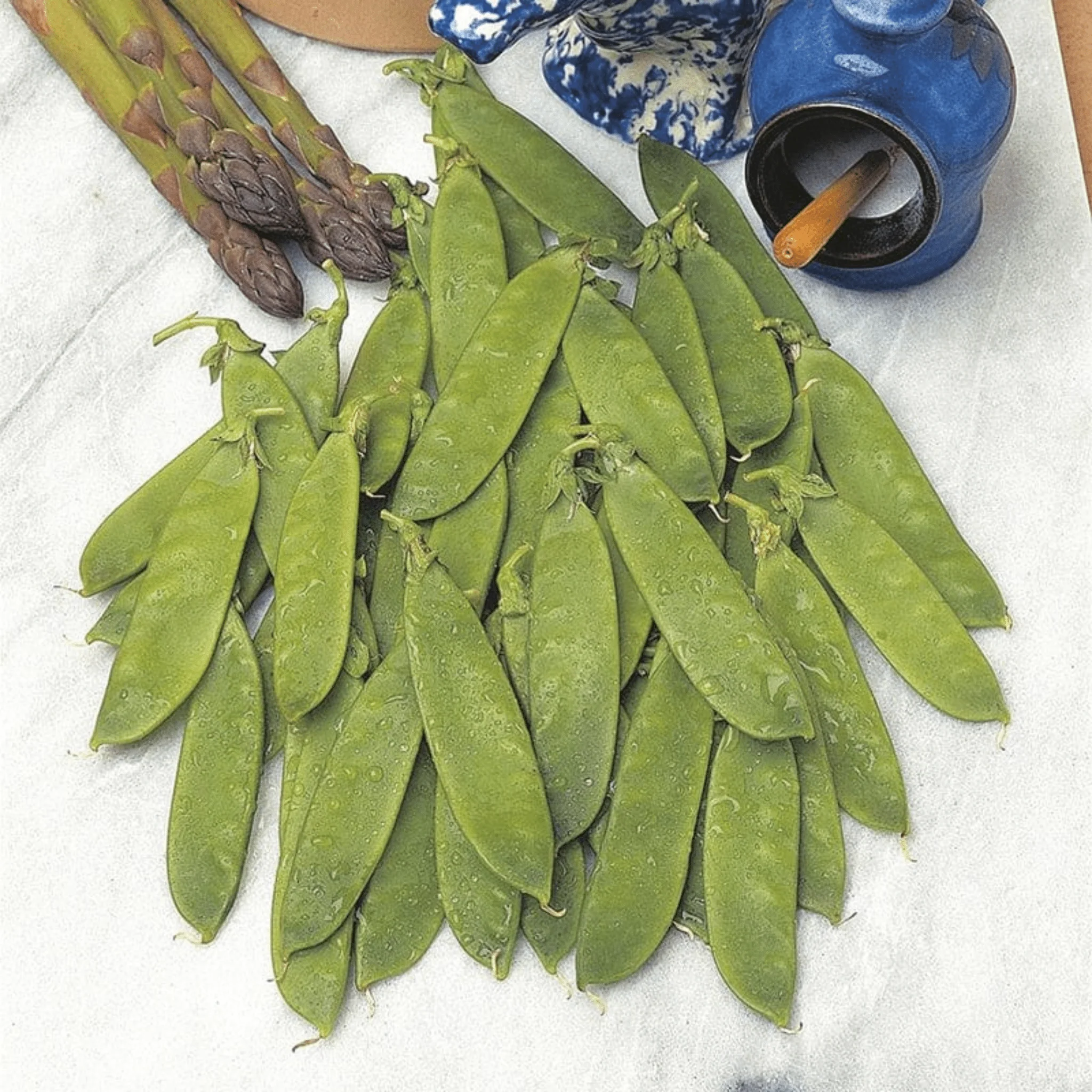 Mr Fothergills RHS Pea Mangetout Delikata Seeds AGM High Yield - Image 3