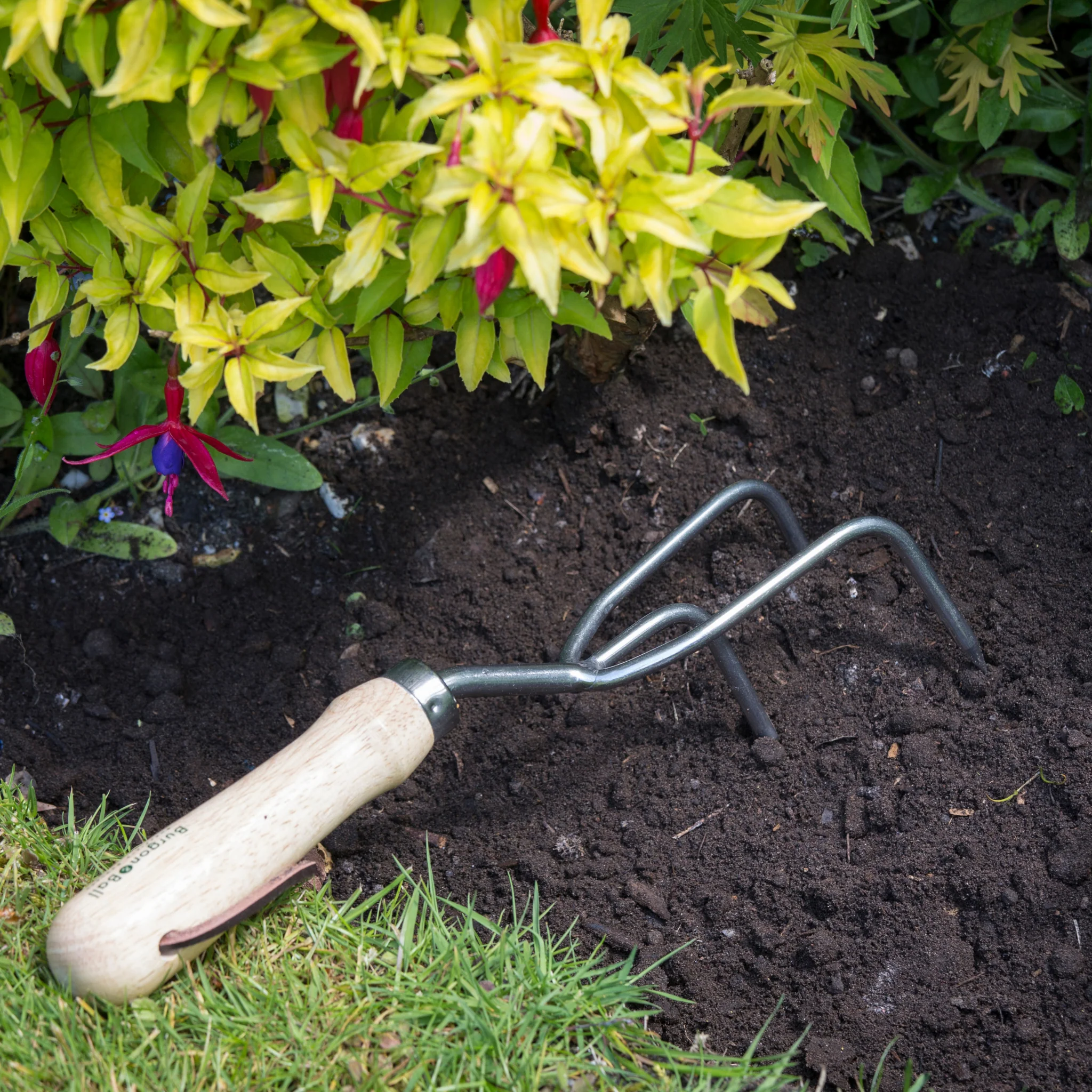 RHS Endorsed Stainless Steel Claw Cultivator by Burgon & Ball - Image 8