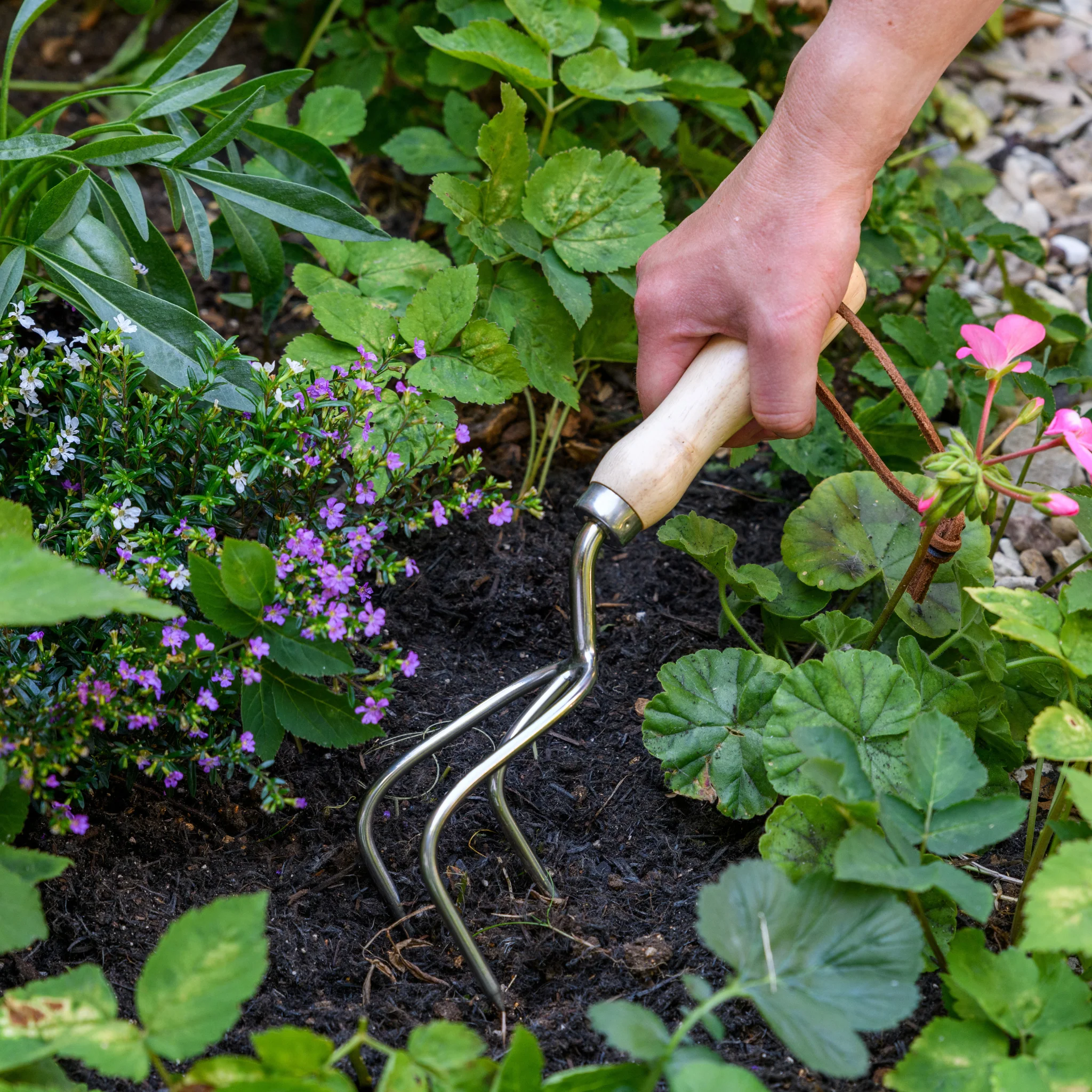 RHS Endorsed Stainless Steel Claw Cultivator by Burgon & Ball - Image 9