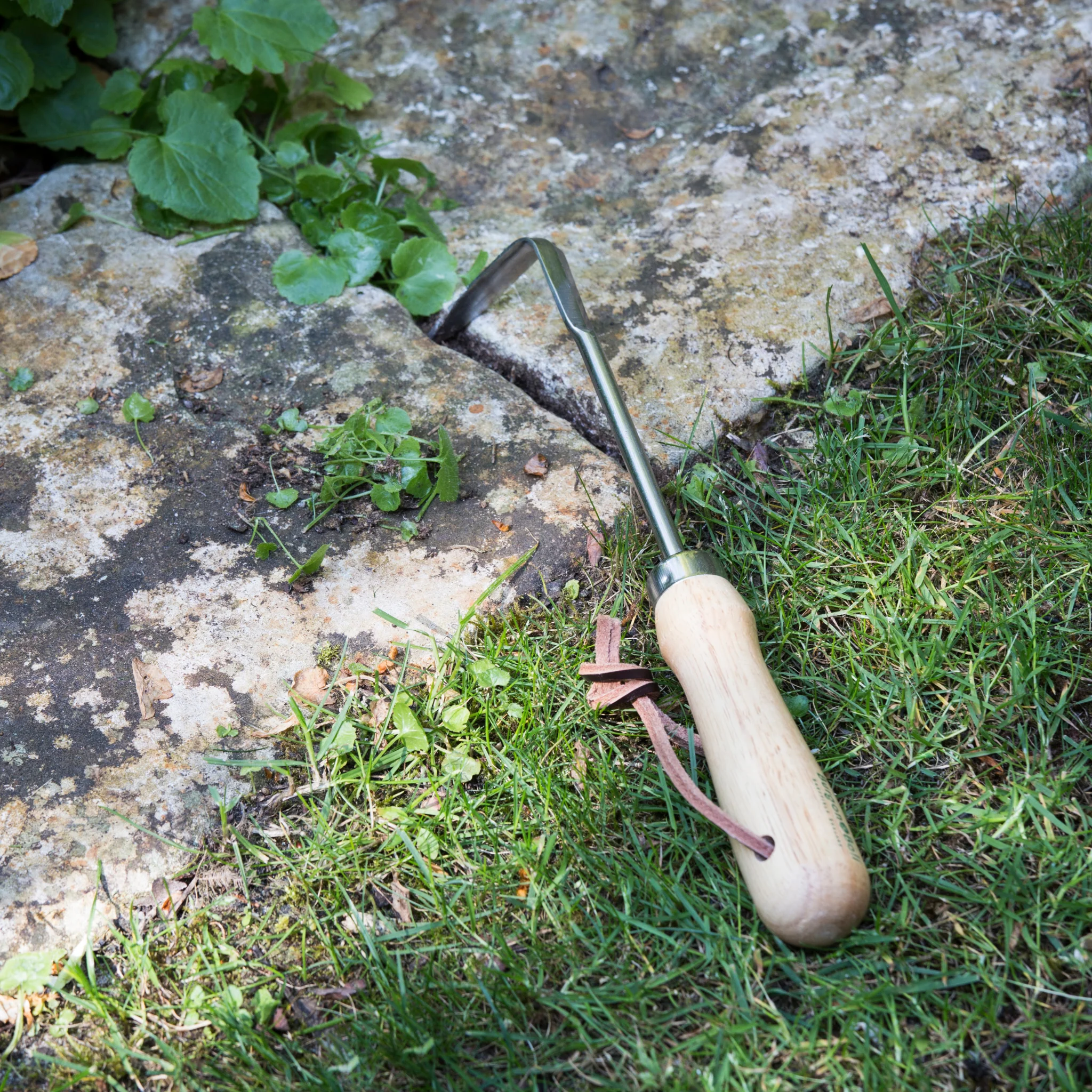 RHS Endorsed Stainless Steel Weeding Finger by Burgon & Ball - Image 7