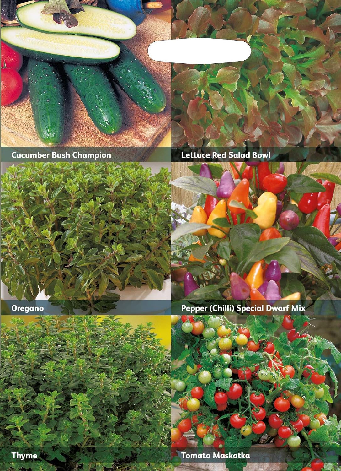 RHS Vegetables for a Vertical Garden Vegetable Seeds Collection 6 Compact Varieties - Image 3
