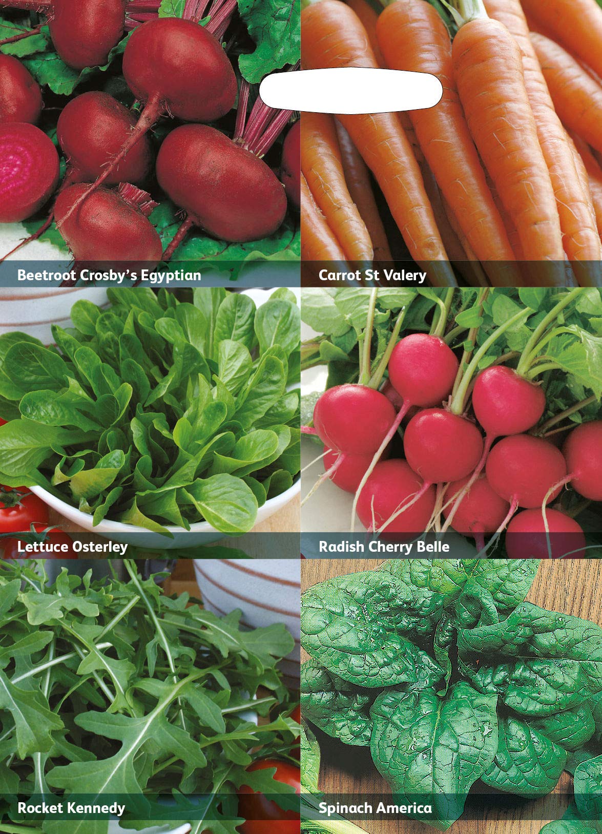 RHS Vegetables for Easy Growing Collection 6 Varieties, Curated Vegetable Seeds for Simple and Reliable Cropping - Image 3