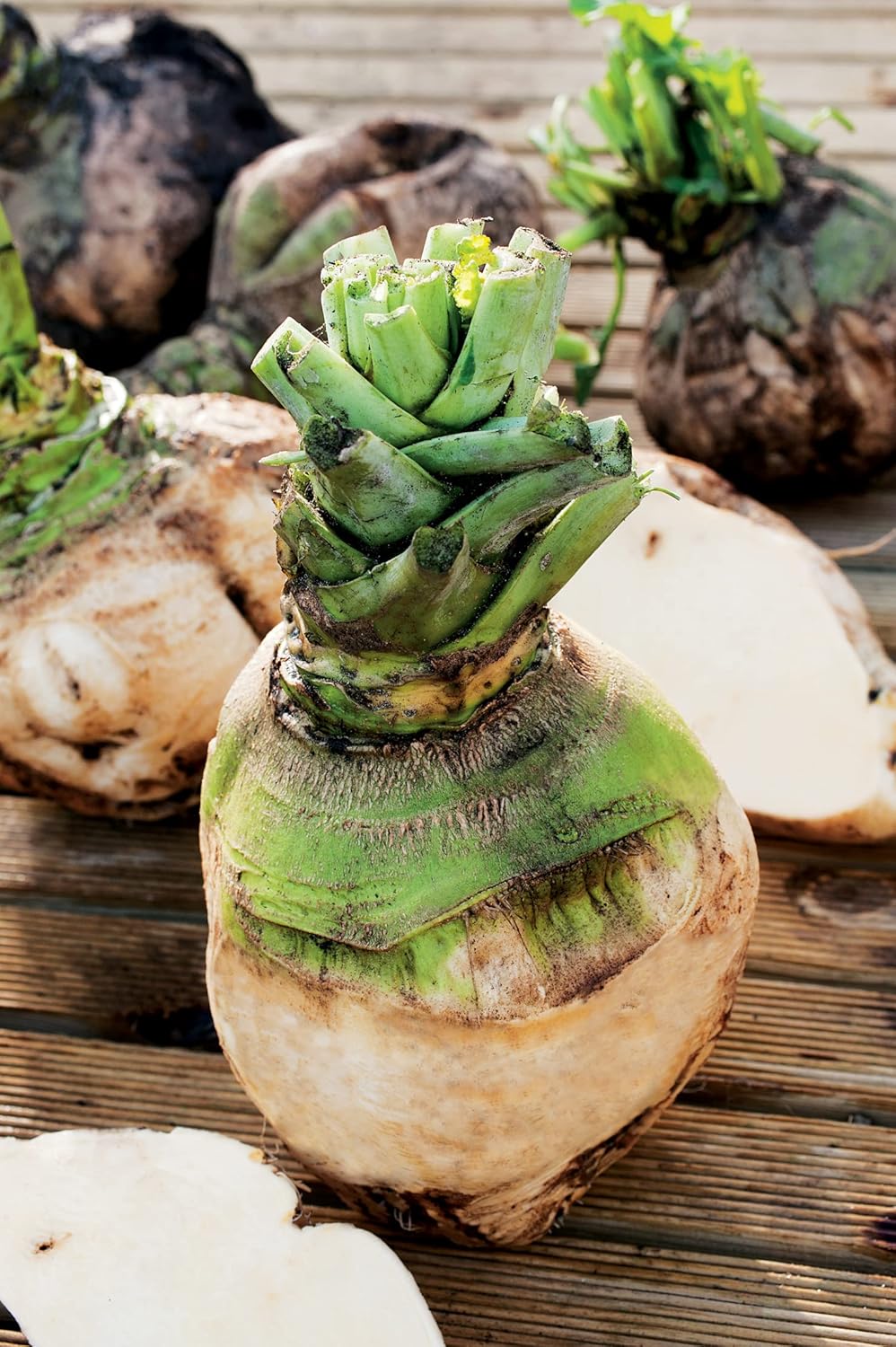 RHS Vegetables for Heirloom Crops Vegetable Seeds Collection 6 Traditional Varieties - Image 8