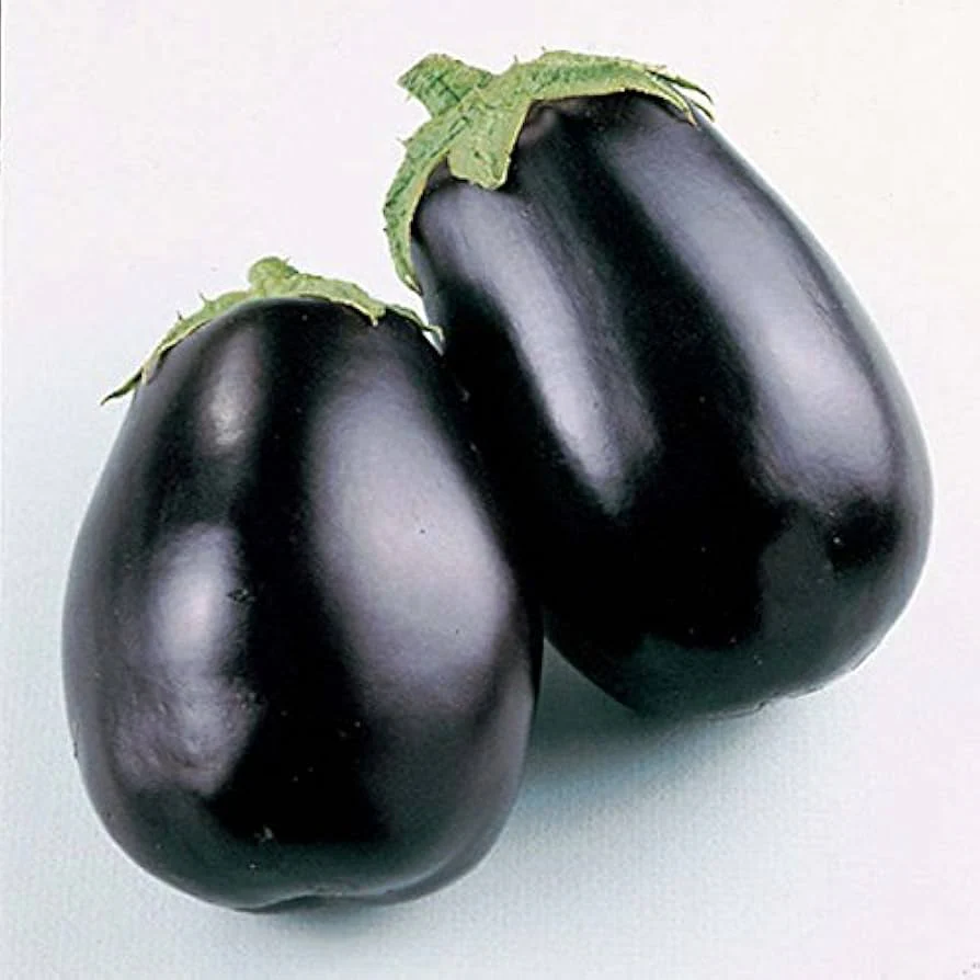 RHS Vegetables from Italy Vegetable Seeds Collection 6 Authentic Italian Varieties - Image 4