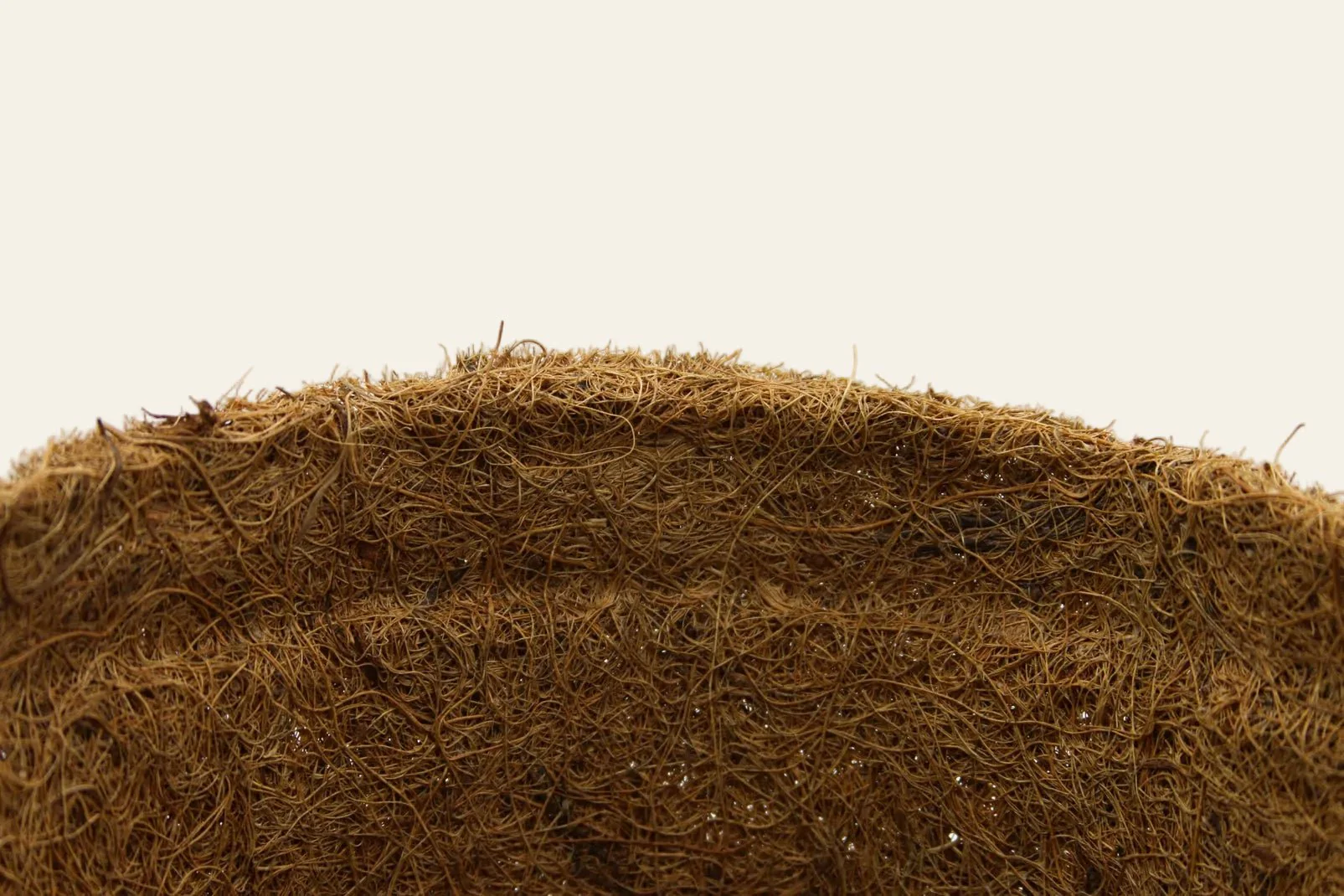 13cm Coir Plant Pots – 100% Biodegradable Pots & Peat-Free 1L | Ideal for Sowing & Growing - Image 3