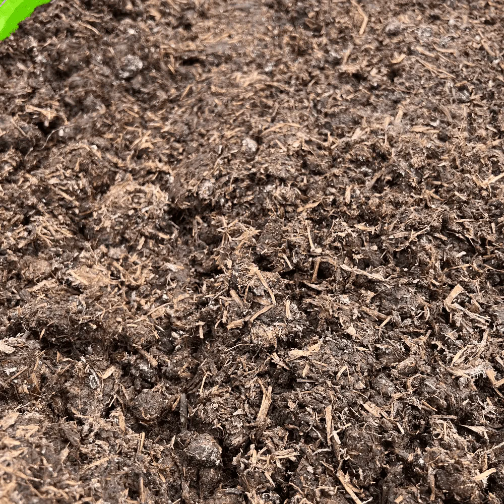 Spent Mushroom Compost - Image 2