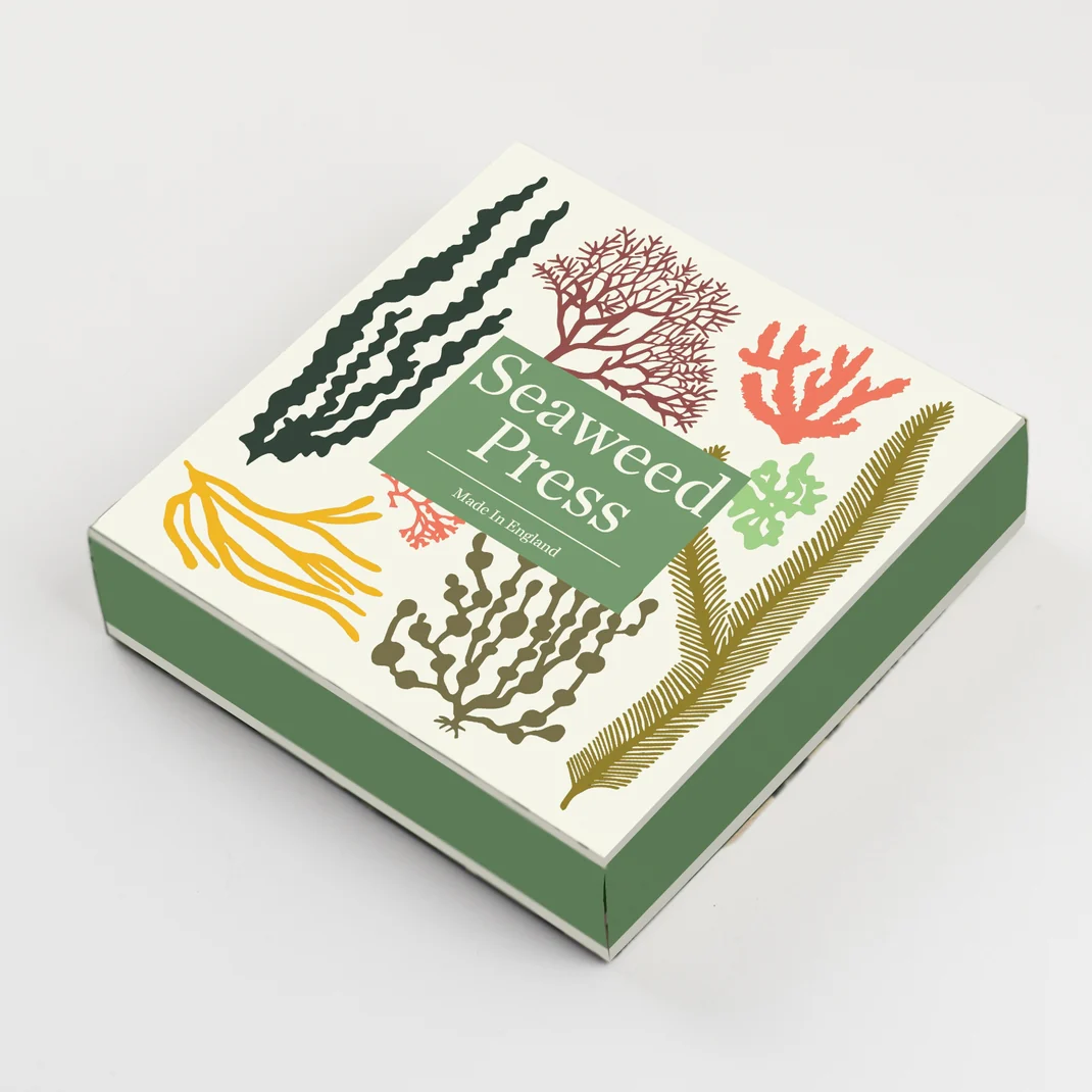 Seaweed Press Kit 15cm Wooden Flower and Seaweed Press, Made in United Kingdom - Image 4
