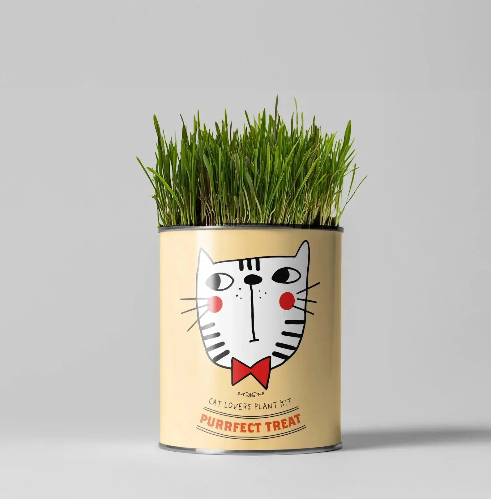 Cat-Friendly Plant Grow Kit – Perfect Gift for Cat Owners | The Plant Gift Co.