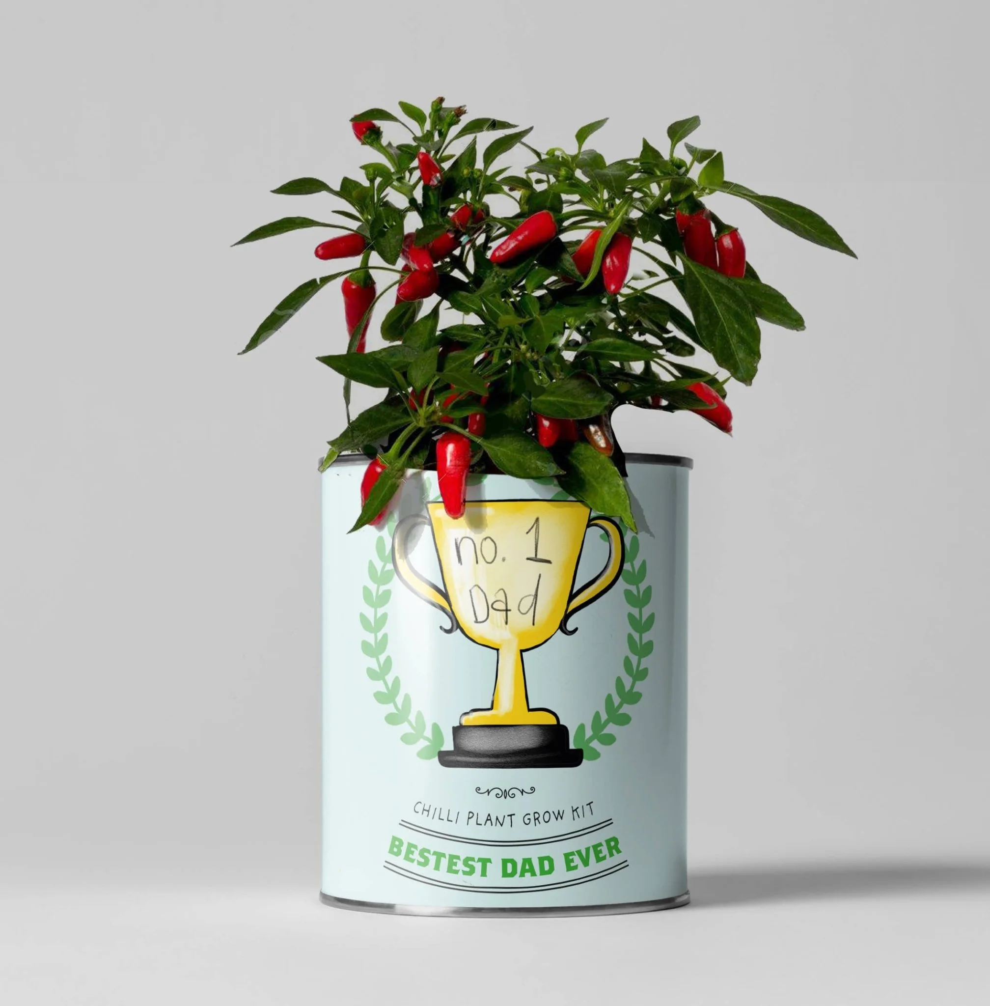 Grow Your Own Chilli Kit – 'Number One Dad' Gift Set | The Plant Gift Co.