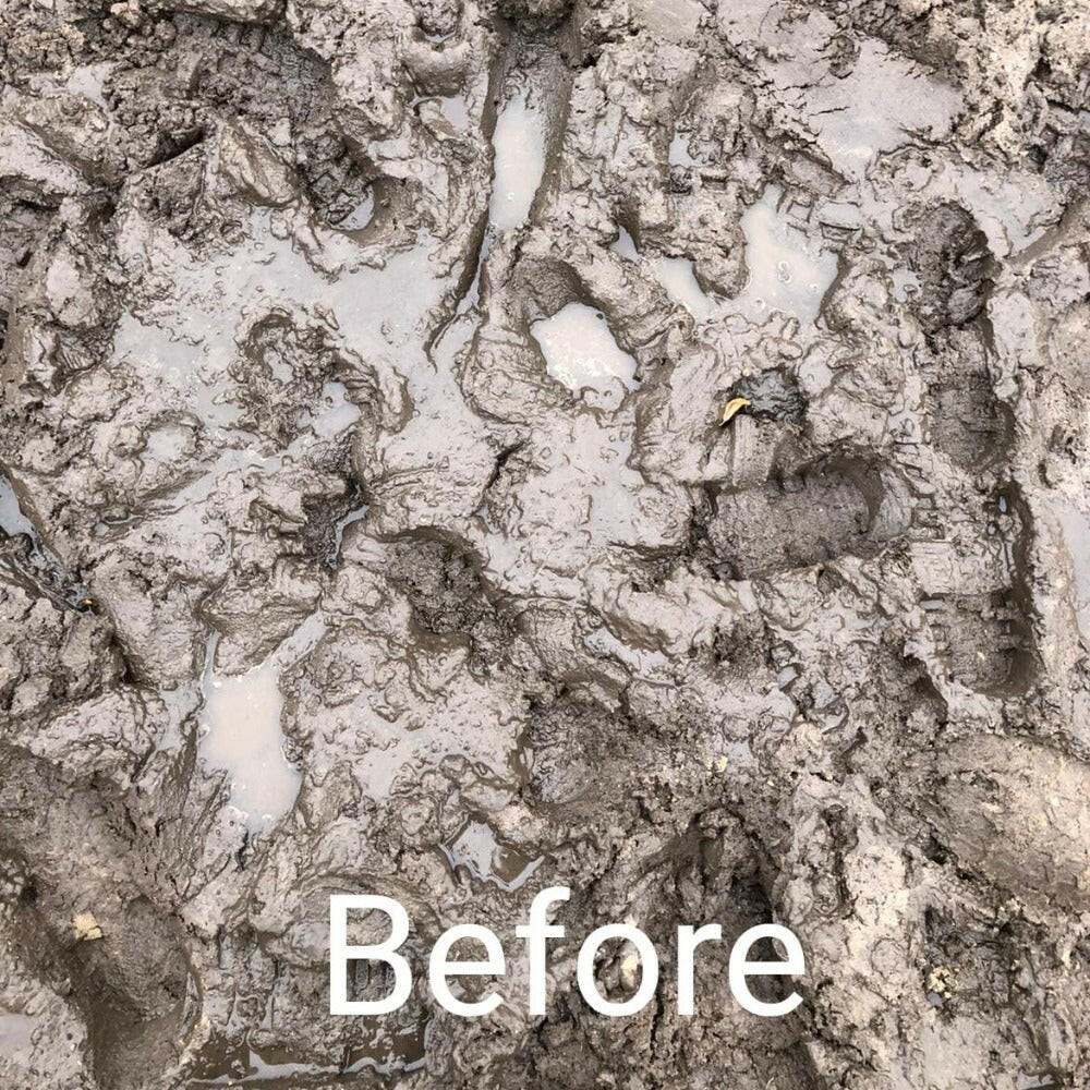 TurfSand - Image 3